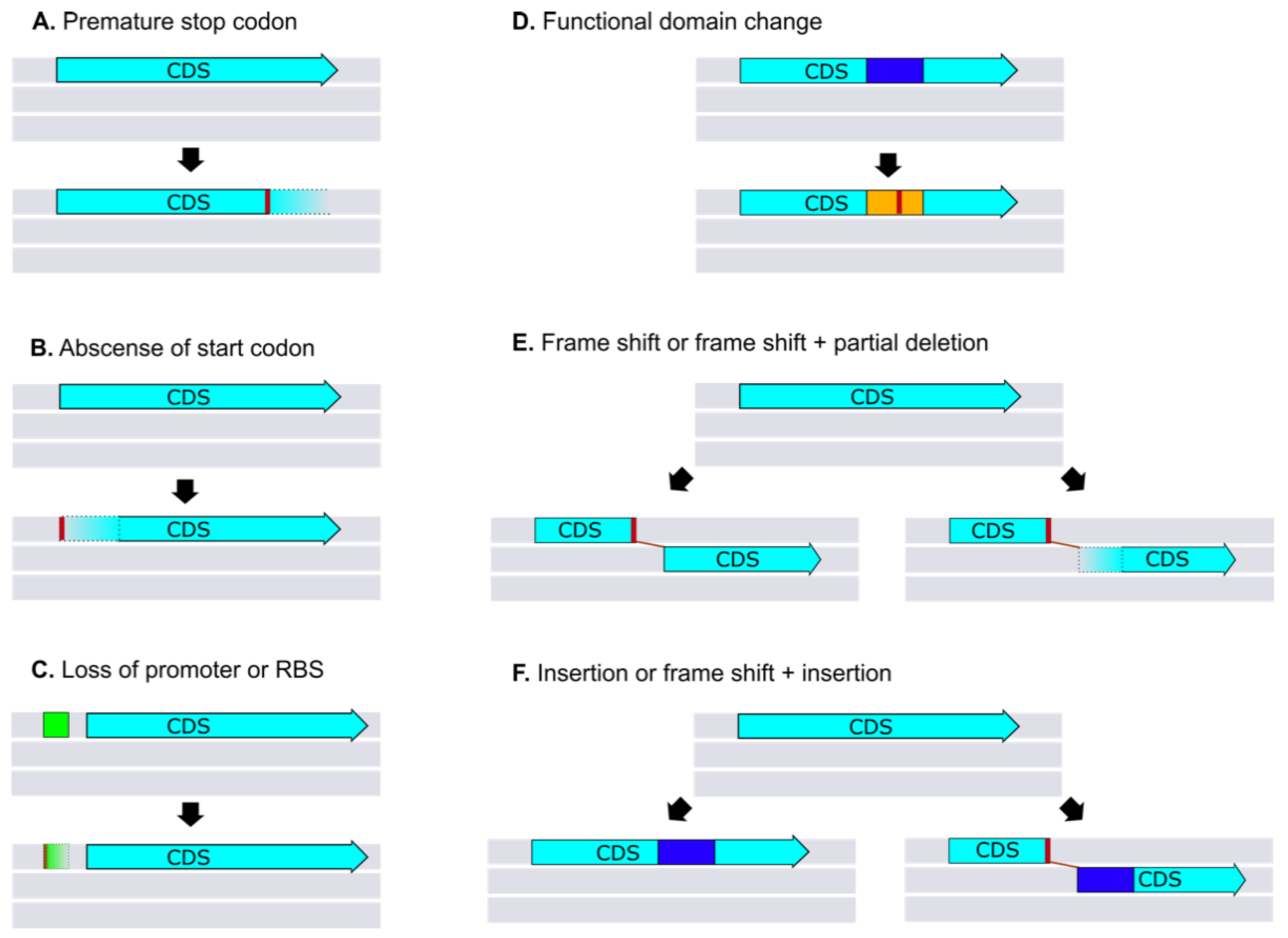 Ijms 21 07749 g004 Ijms 21 07749 g004