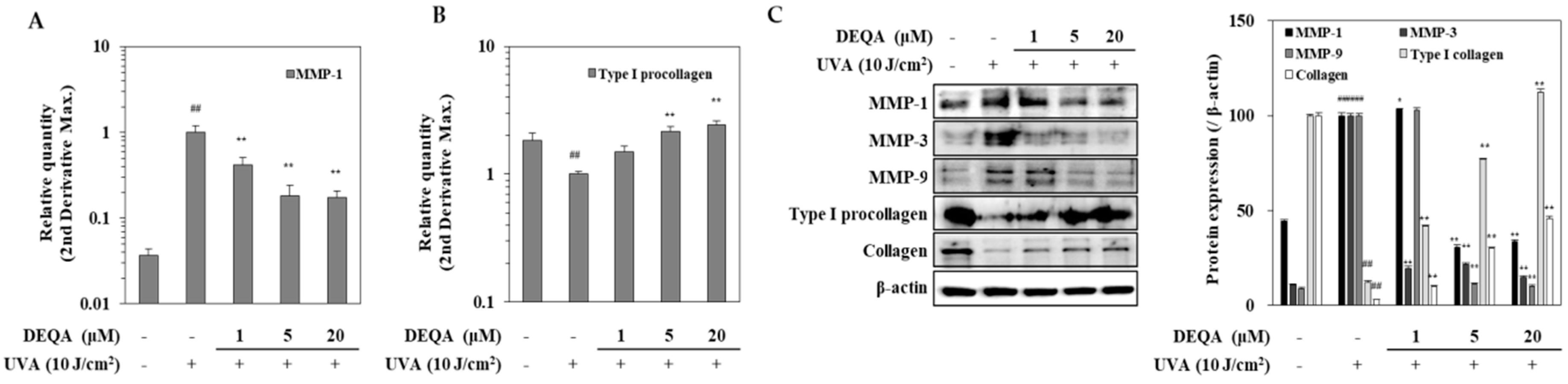 Ijms 21 07756 g003 Ijms 21 07756 g003