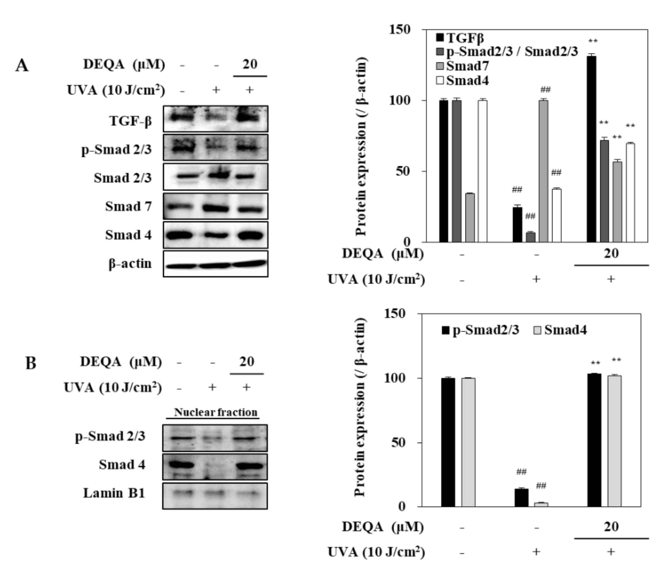 Ijms 21 07756 g006 Ijms 21 07756 g006