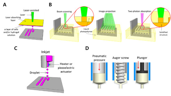 3D Cell Printing of Tissue/Organ-Mimicking Constructs for