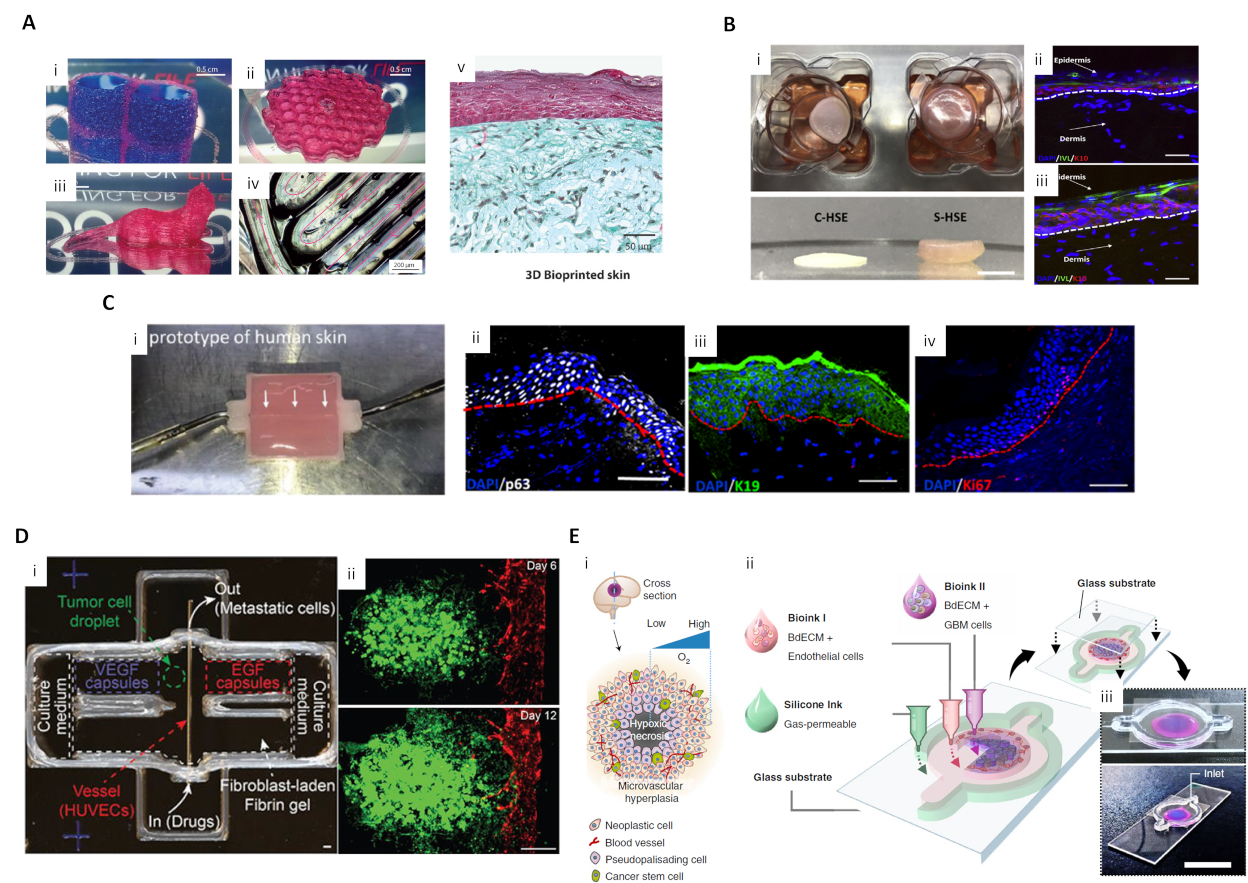 Ijms 21 07757 g005 Ijms 21 07757 g005