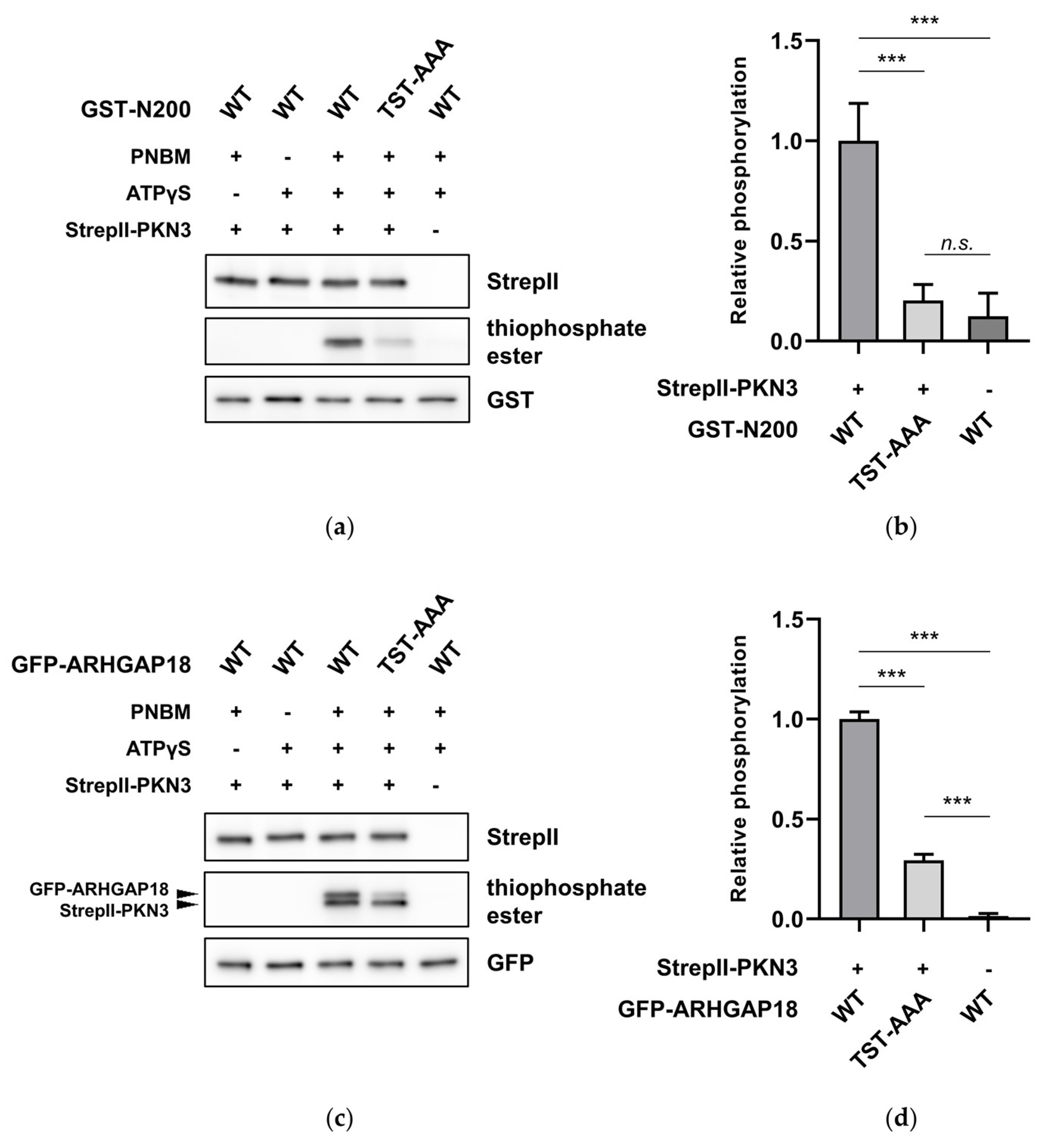 Ijms 21 07769 g002 Ijms 21 07769 g002