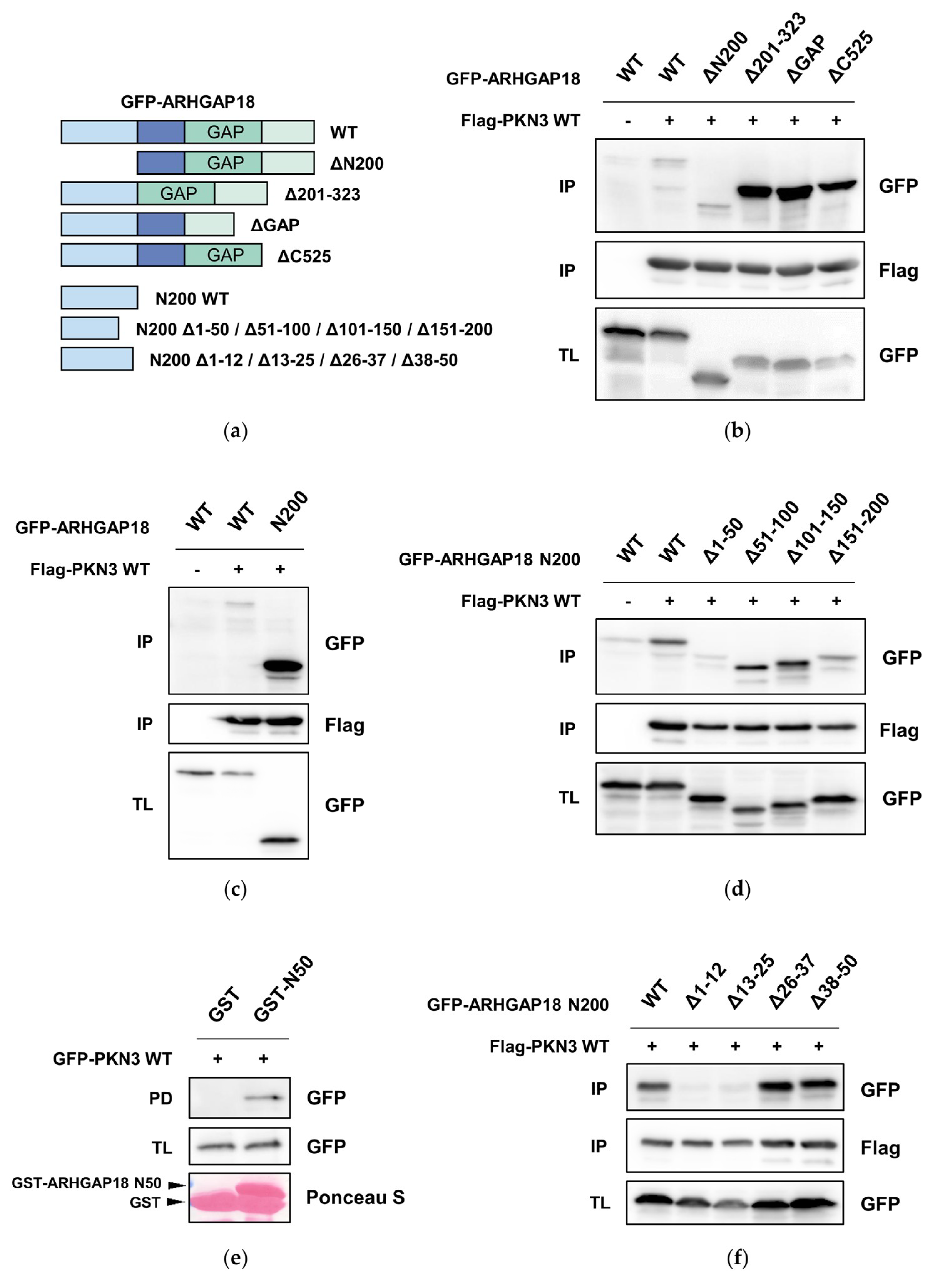 Ijms 21 07769 g003 Ijms 21 07769 g003