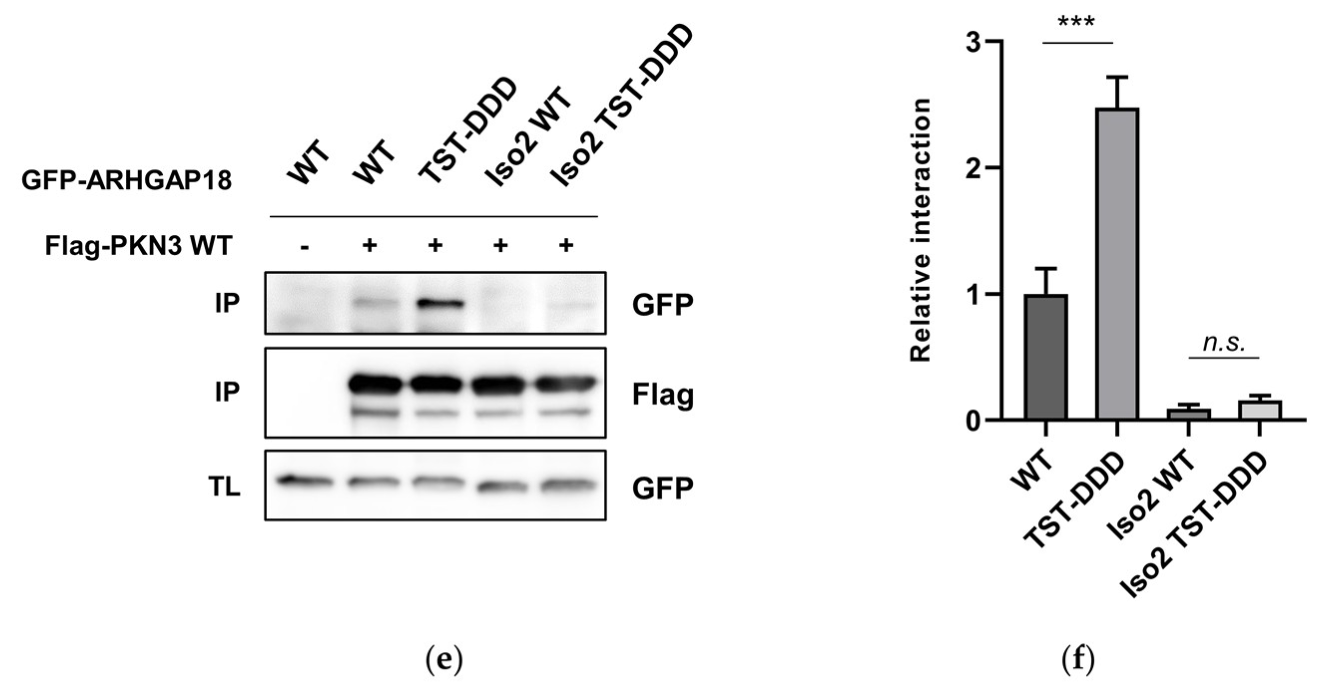 Ijms 21 07769 g004b Ijms 21 07769 g004b