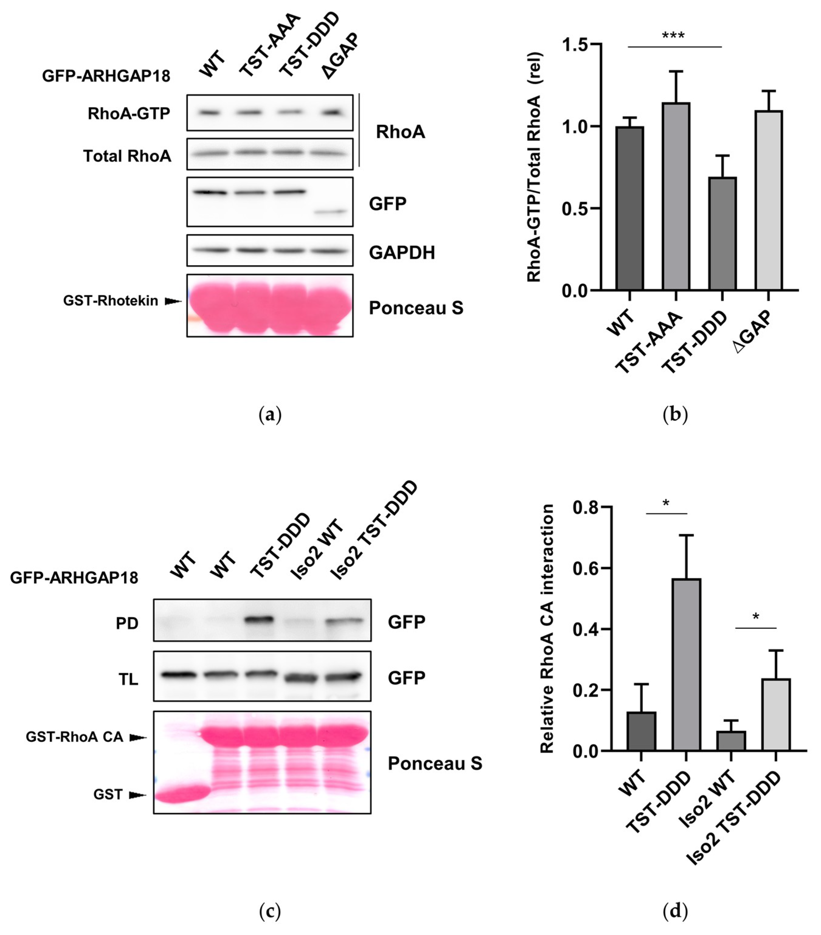 Ijms 21 07769 g005 Ijms 21 07769 g005