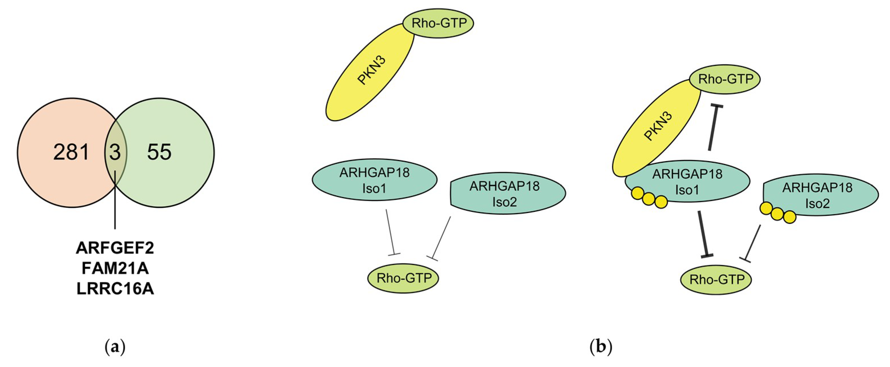Ijms 21 07769 g006 Ijms 21 07769 g006