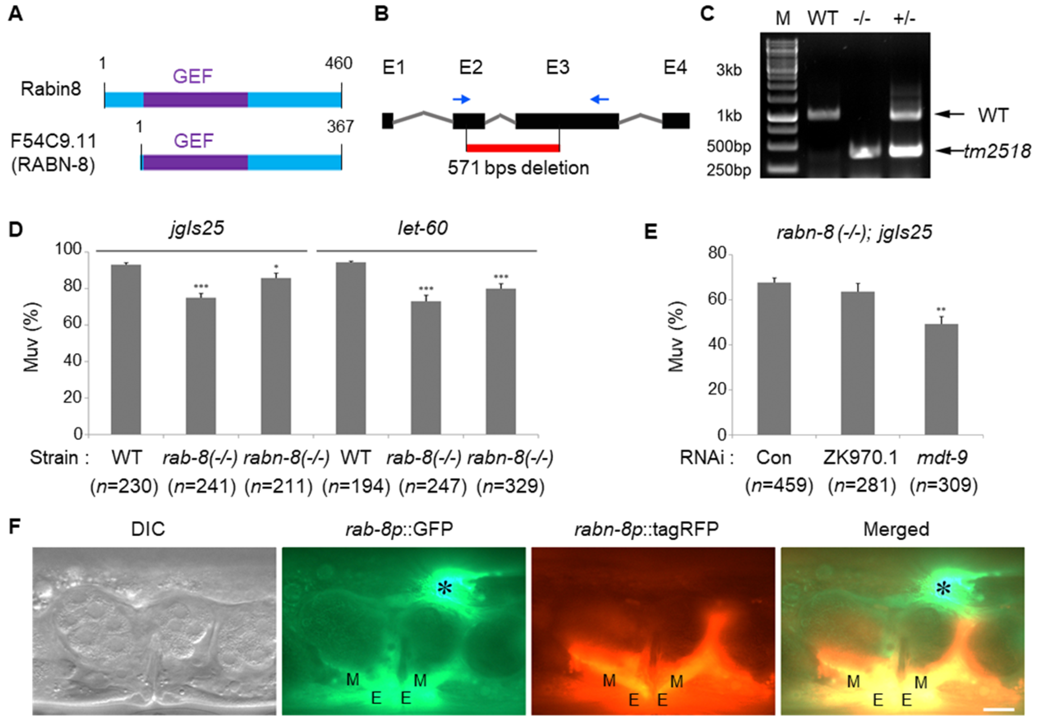 Ijms 21 07770 g003 Ijms 21 07770 g003