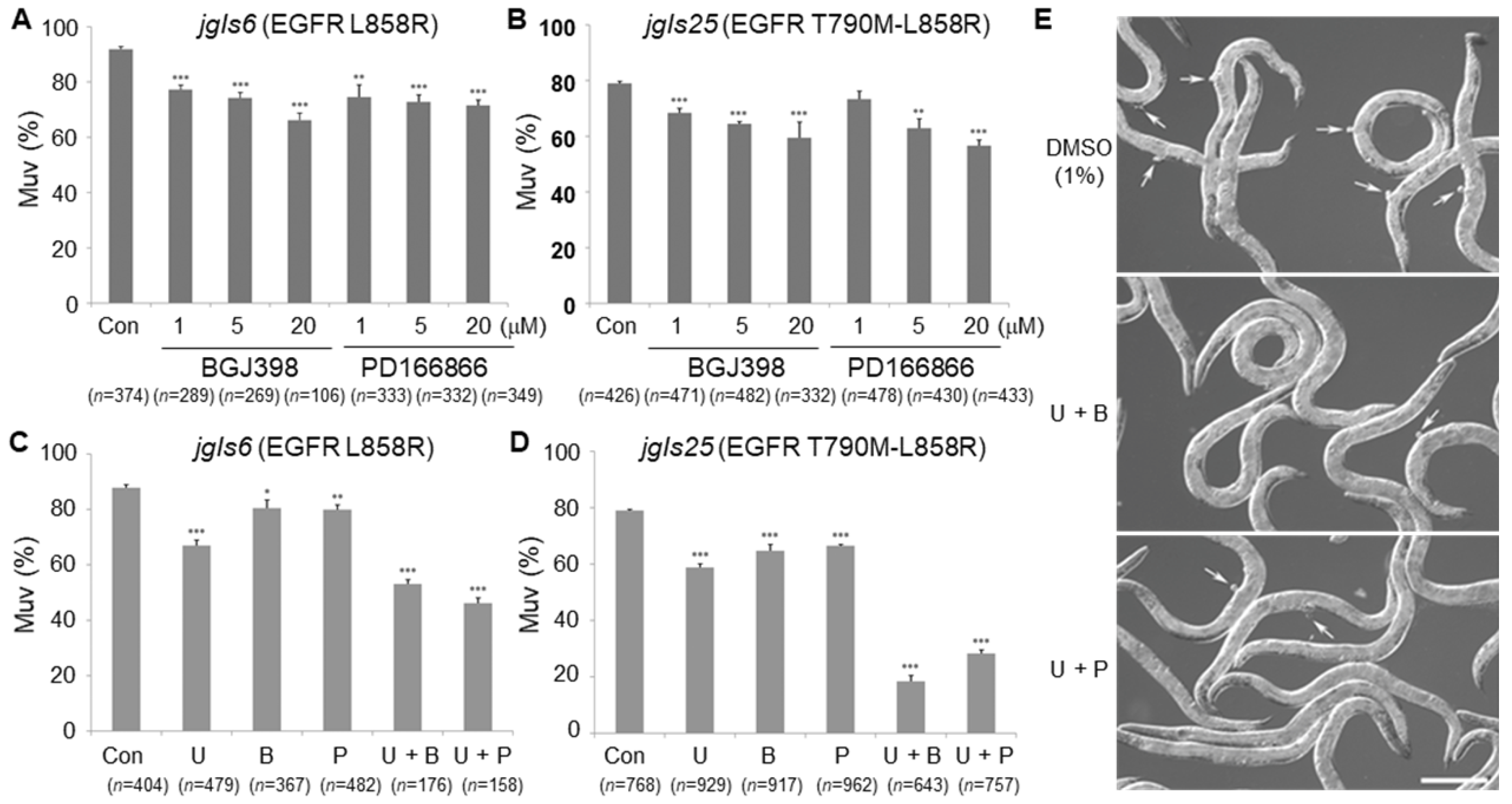 Ijms 21 07770 g006 Ijms 21 07770 g006