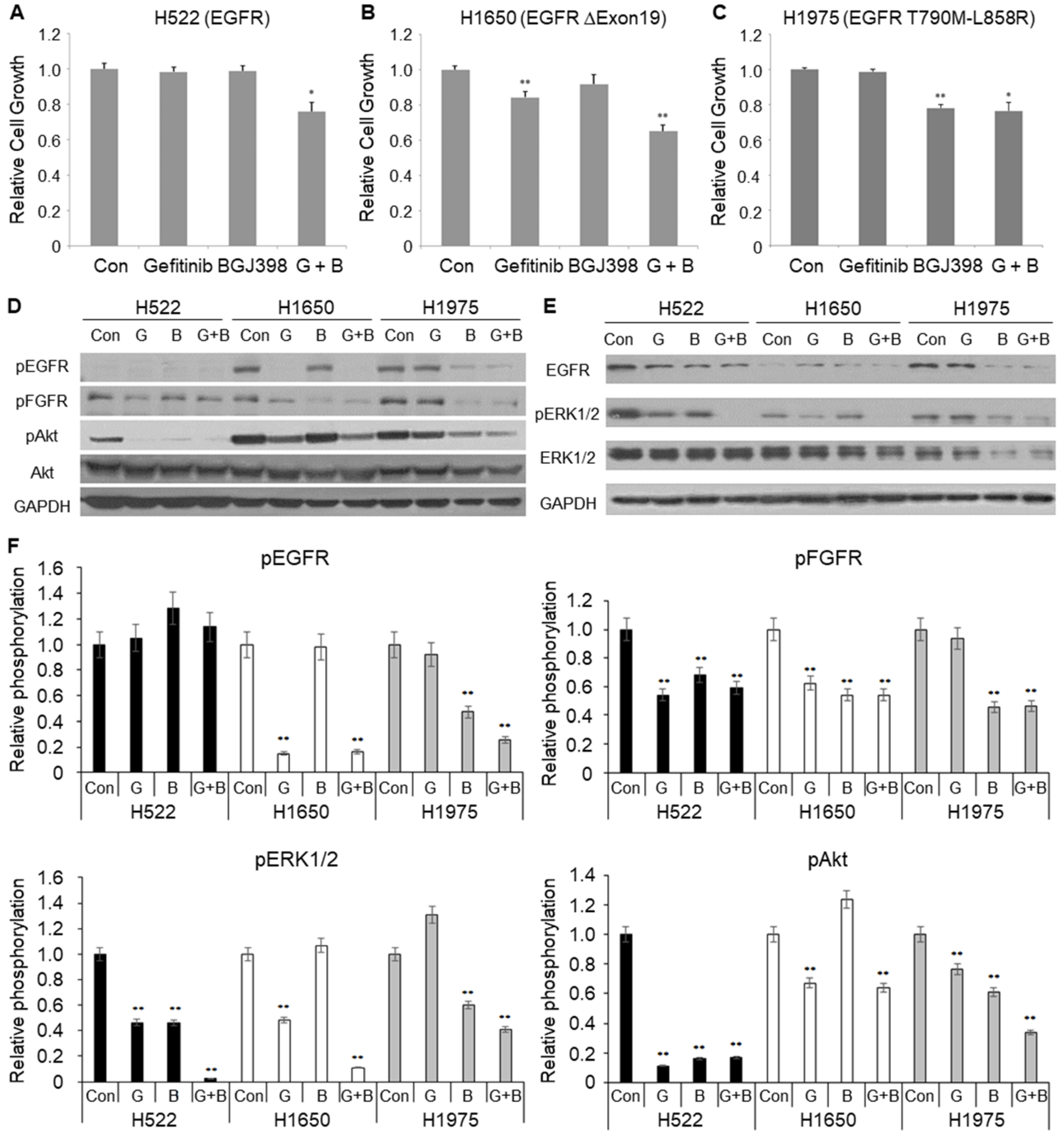 Ijms 21 07770 g007 Ijms 21 07770 g007