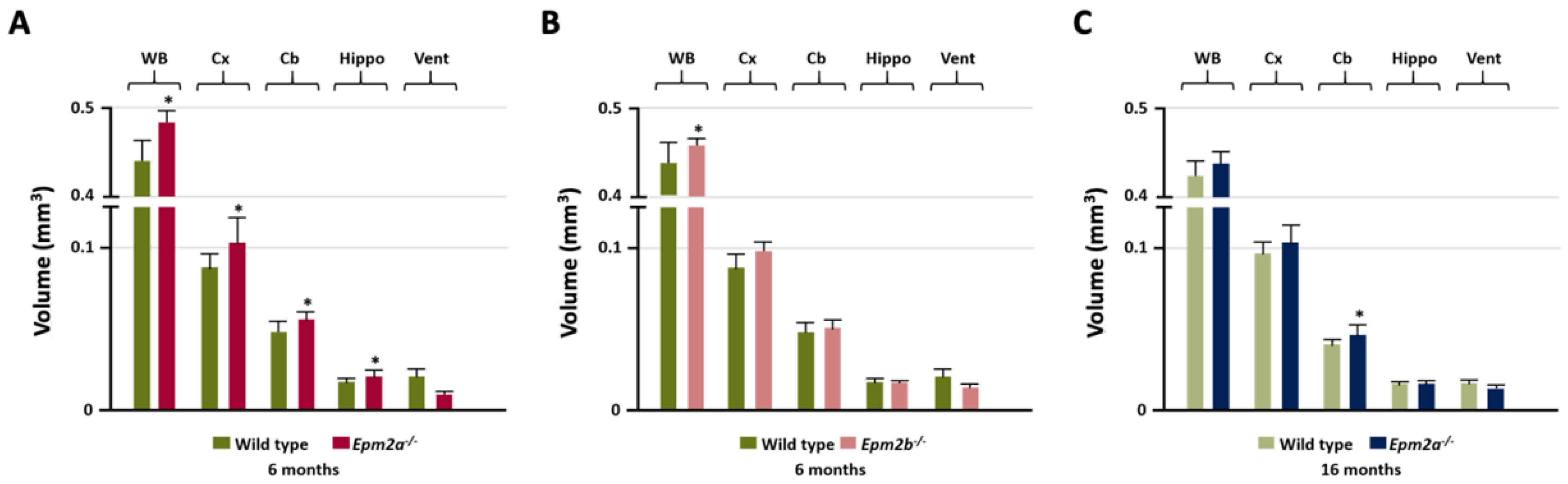 Ijms 21 07771 g001 Ijms 21 07771 g001