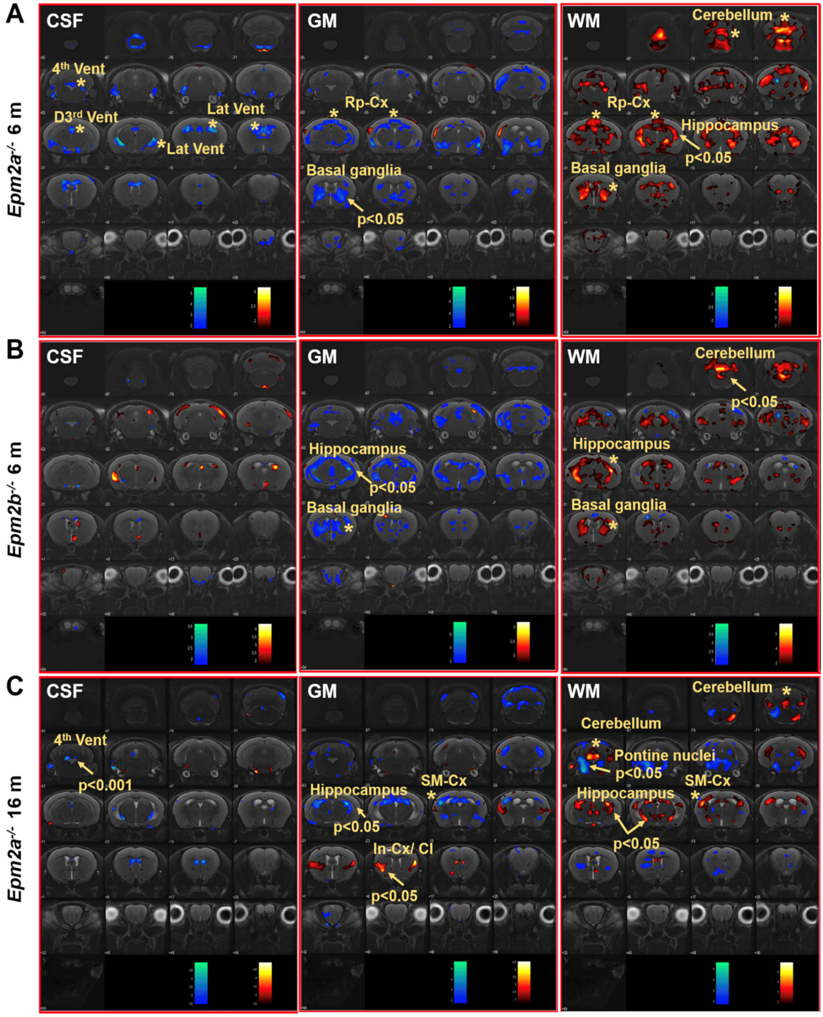 Ijms 21 07771 g002 Ijms 21 07771 g002