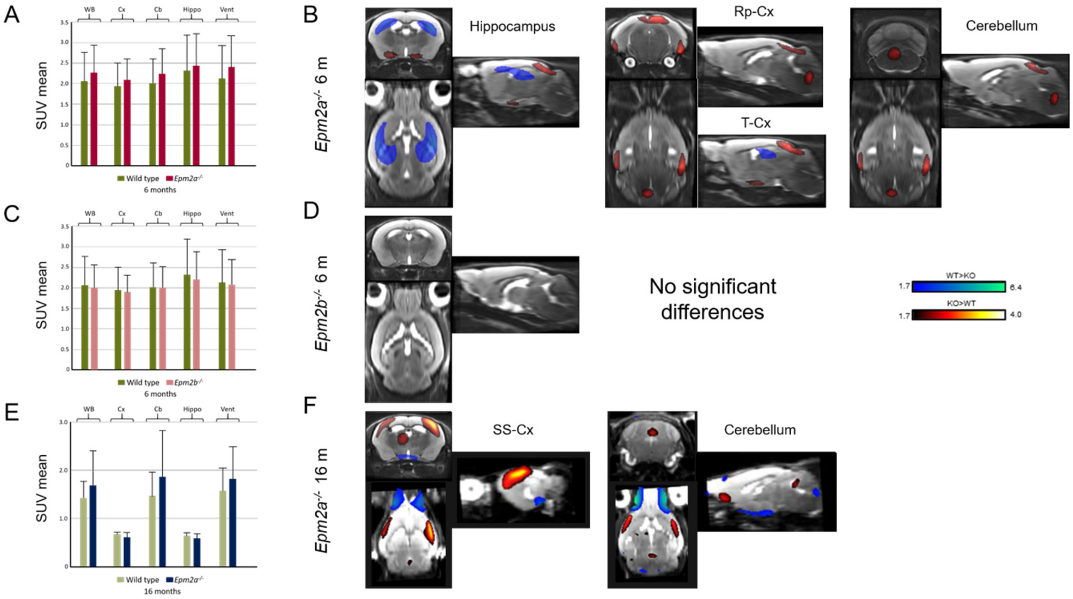 Ijms 21 07771 g003 Ijms 21 07771 g003