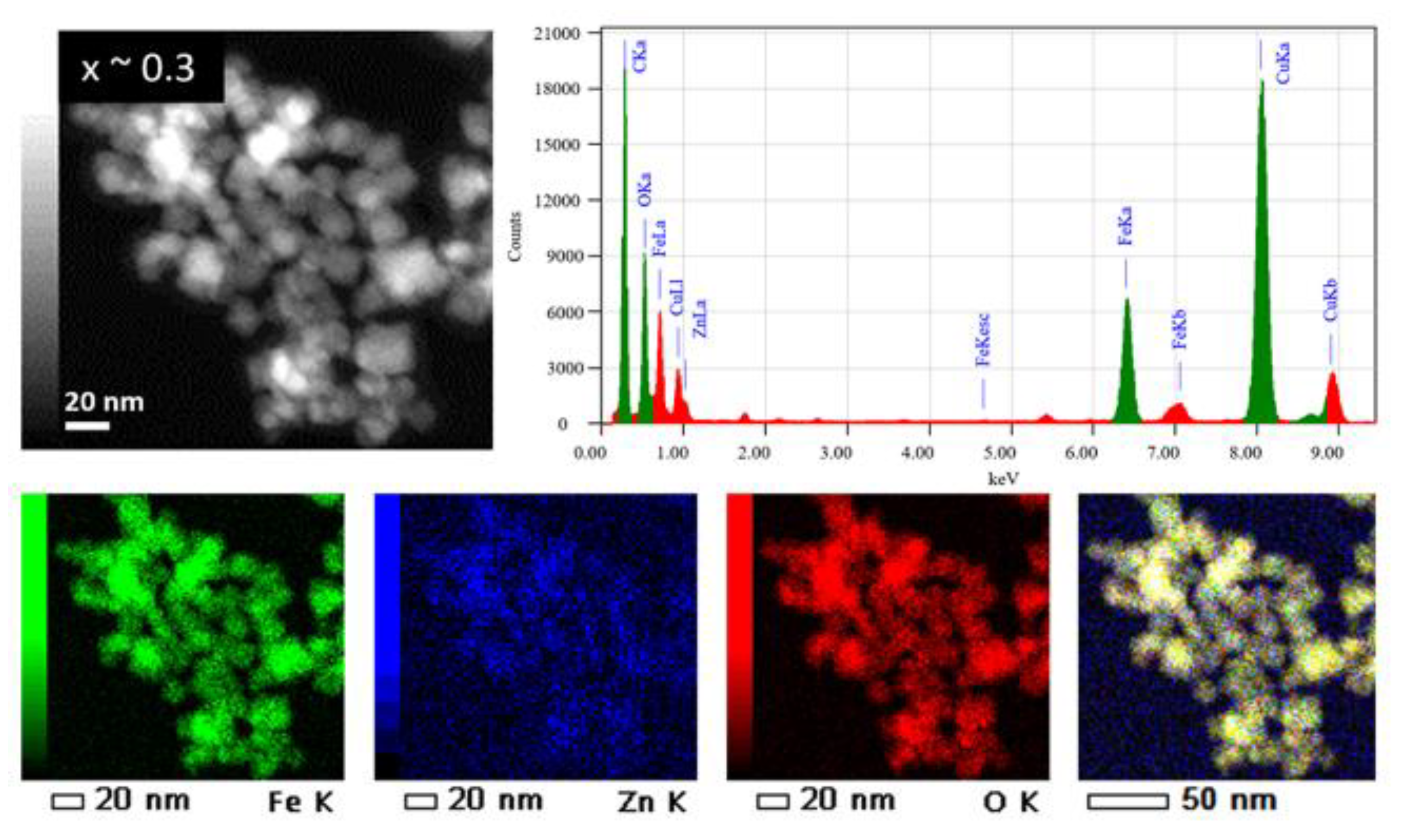Ijms 21 07775 g004 Ijms 21 07775 g004
