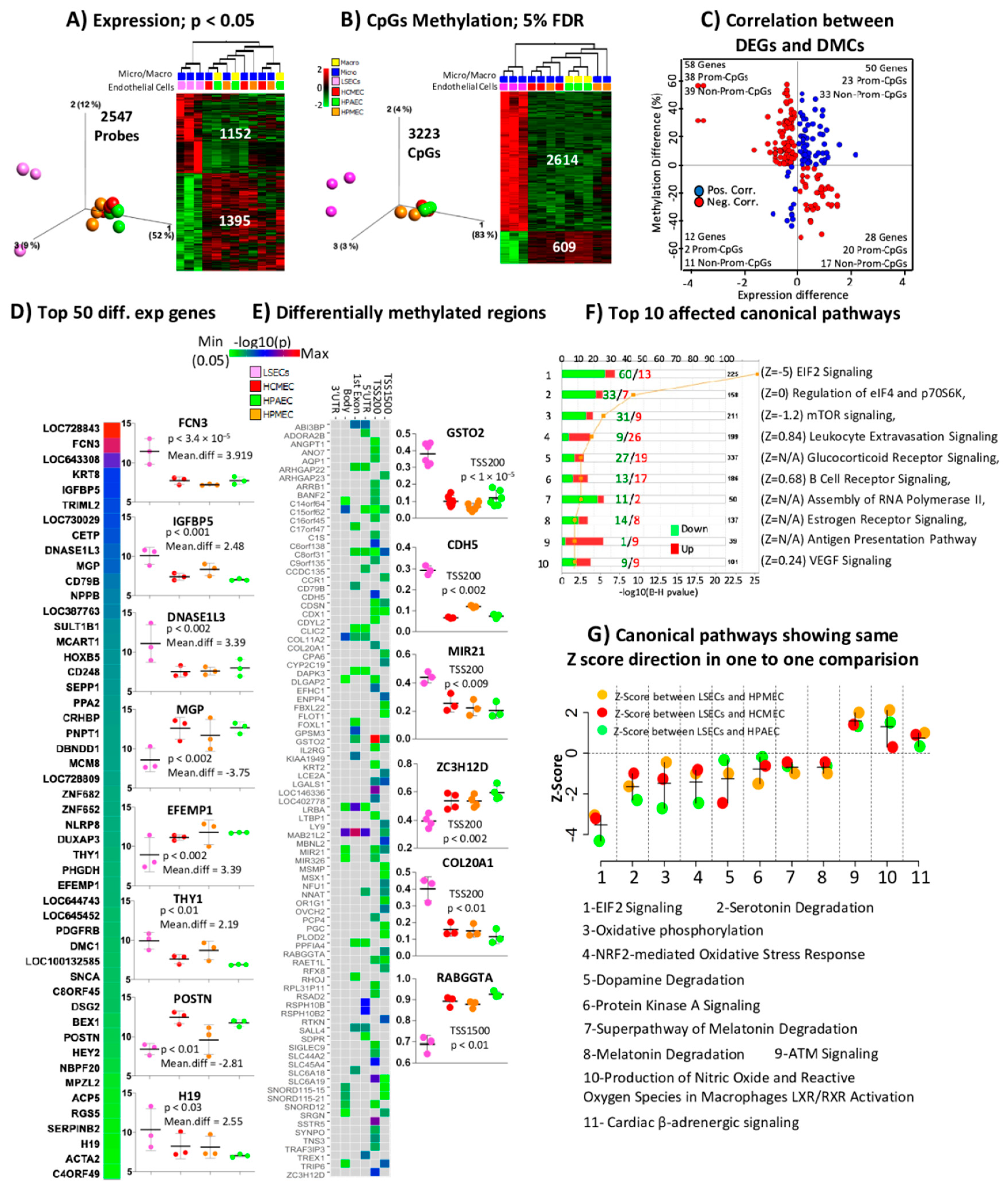 Ijms 21 07776 g001 Ijms 21 07776 g001
