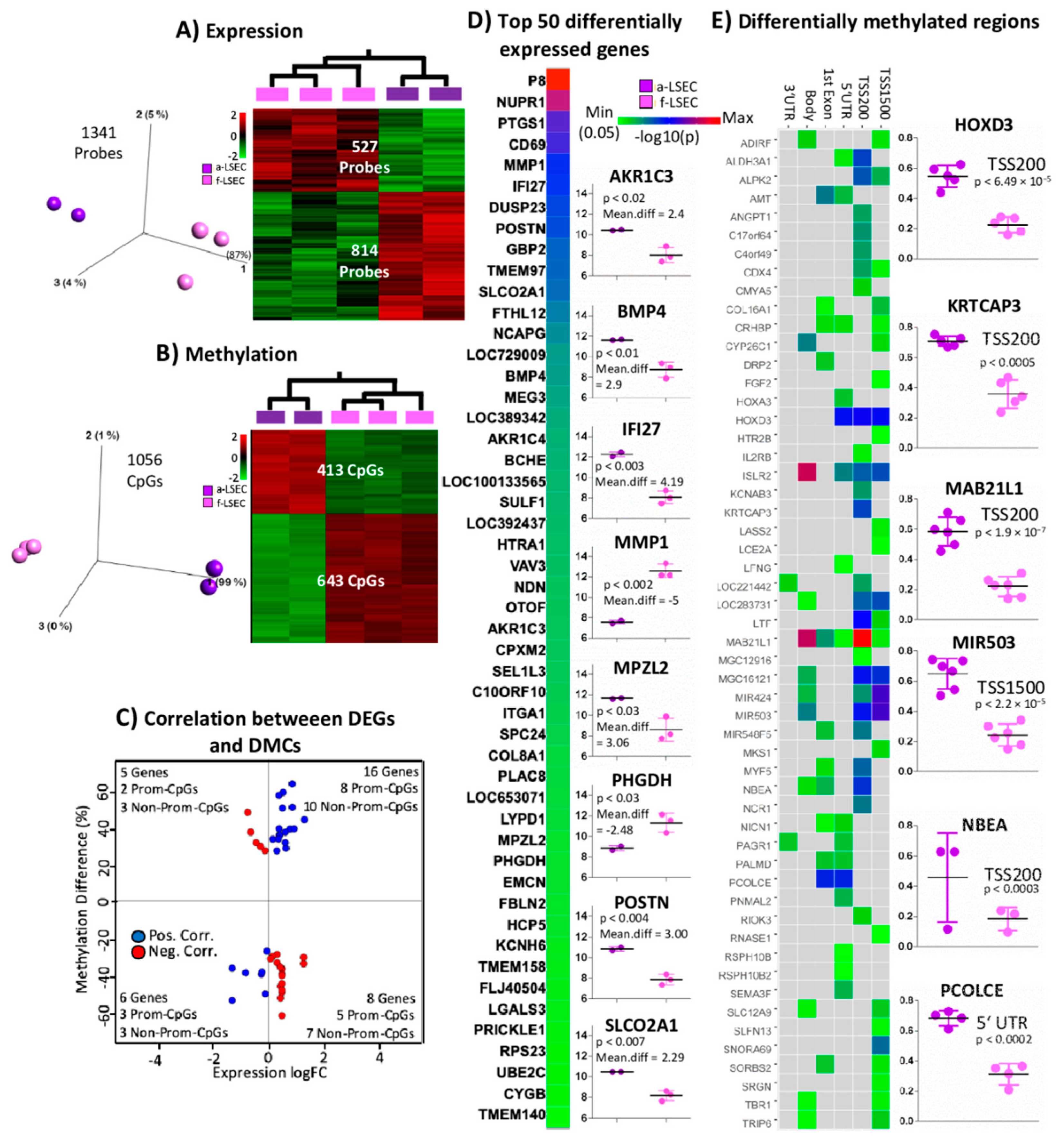 Ijms 21 07776 g002 Ijms 21 07776 g002