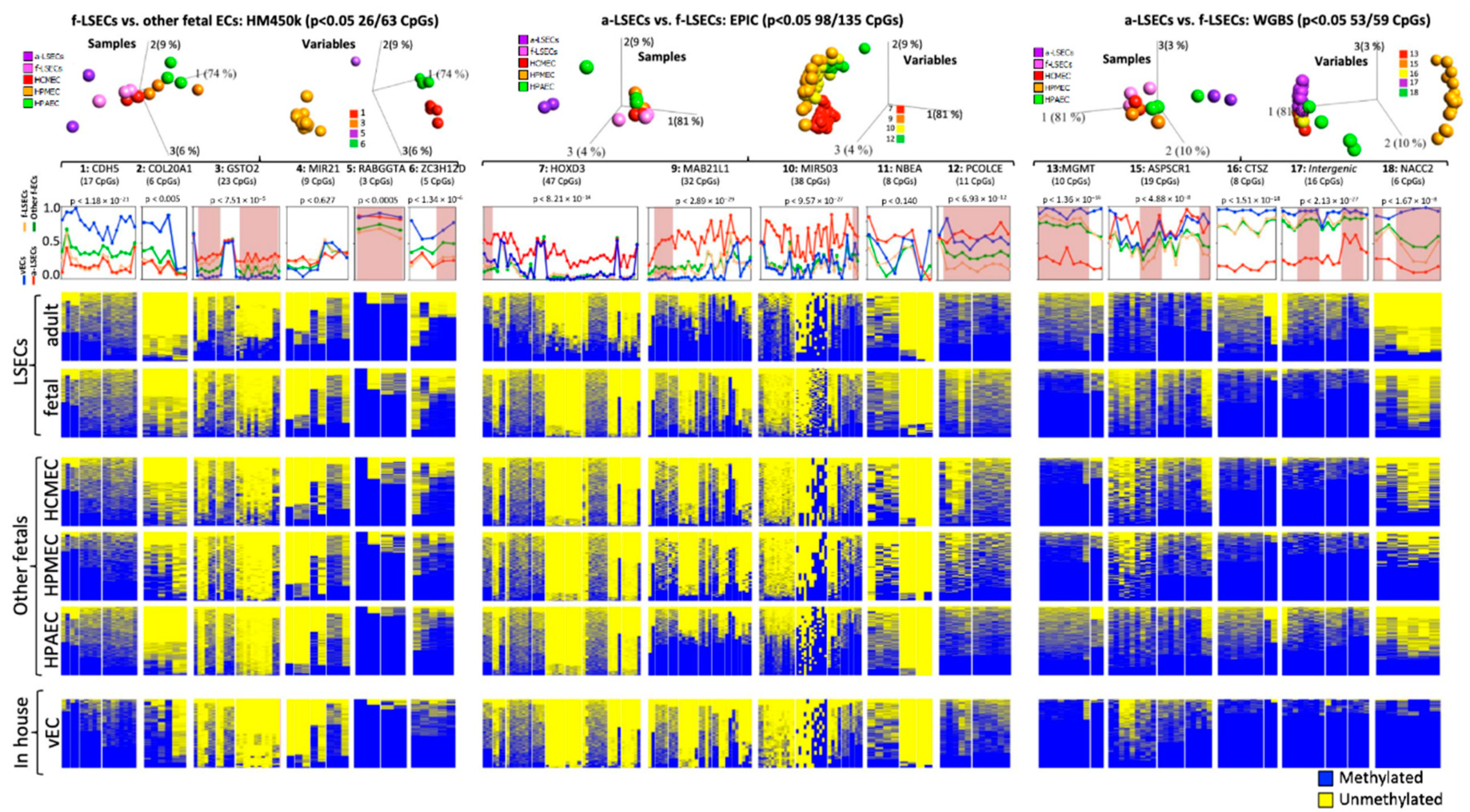 Ijms 21 07776 g004 Ijms 21 07776 g004