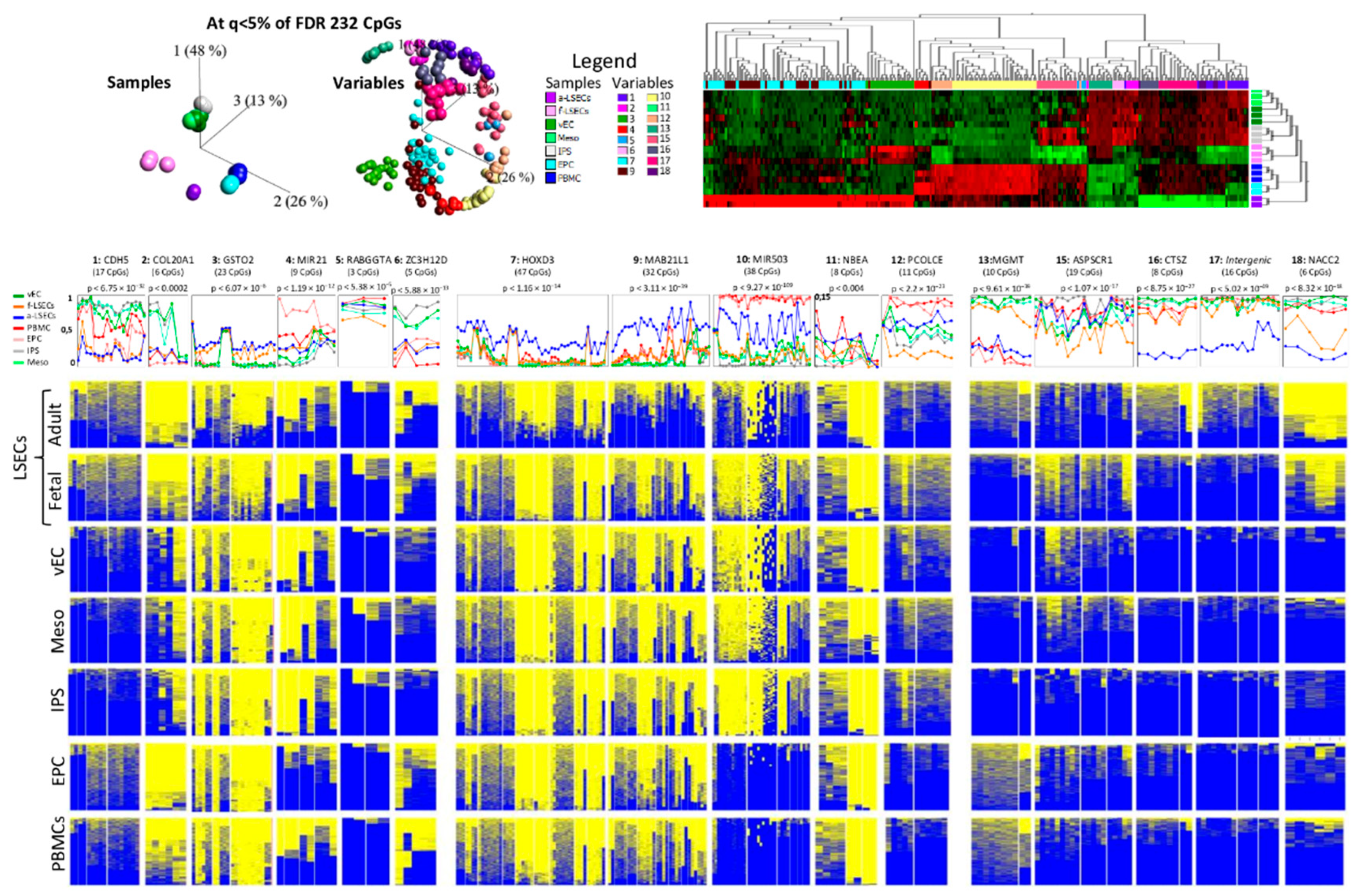 Ijms 21 07776 g006 Ijms 21 07776 g006