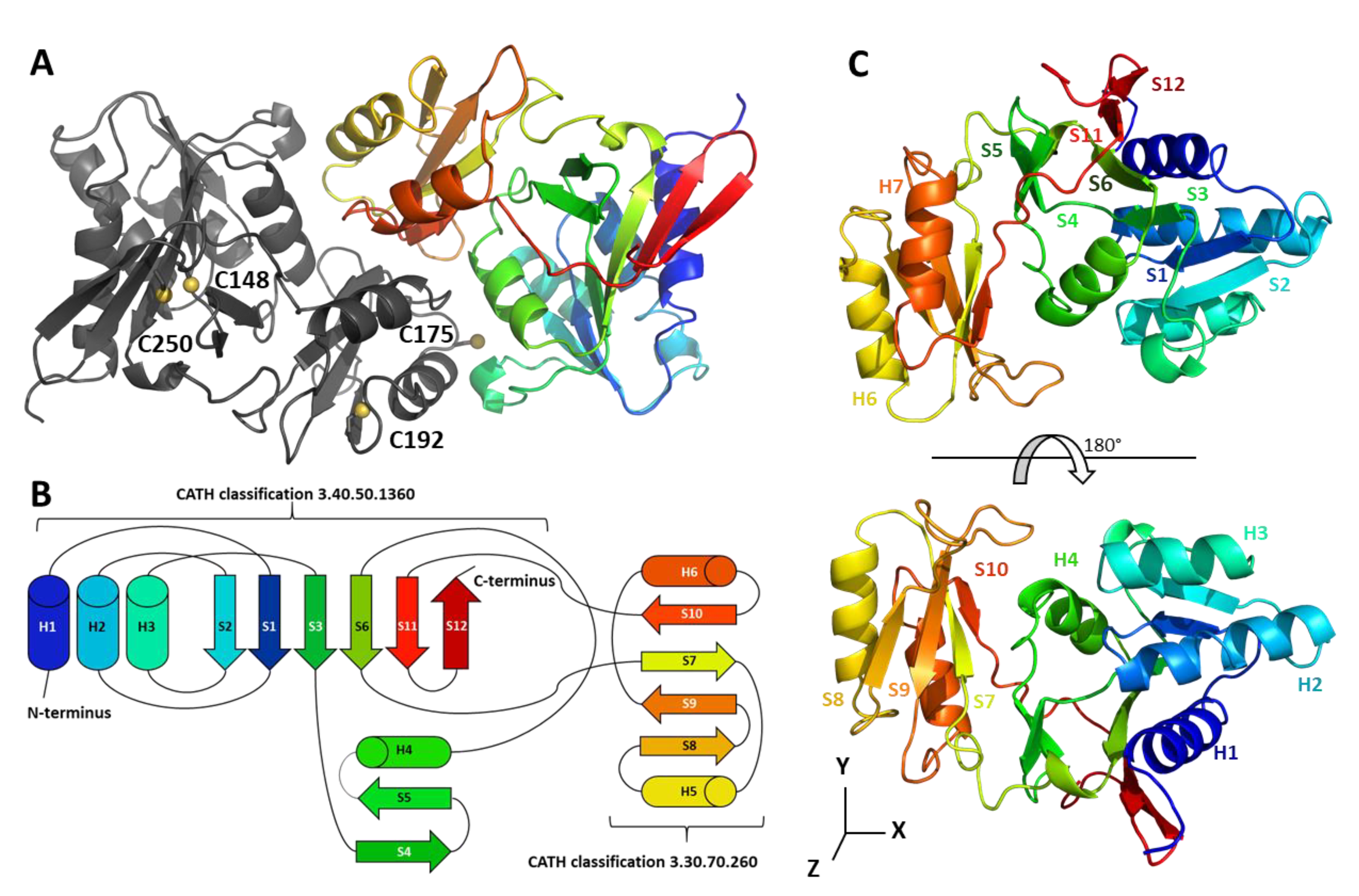 Ijms 21 07787 g001 Ijms 21 07787 g001