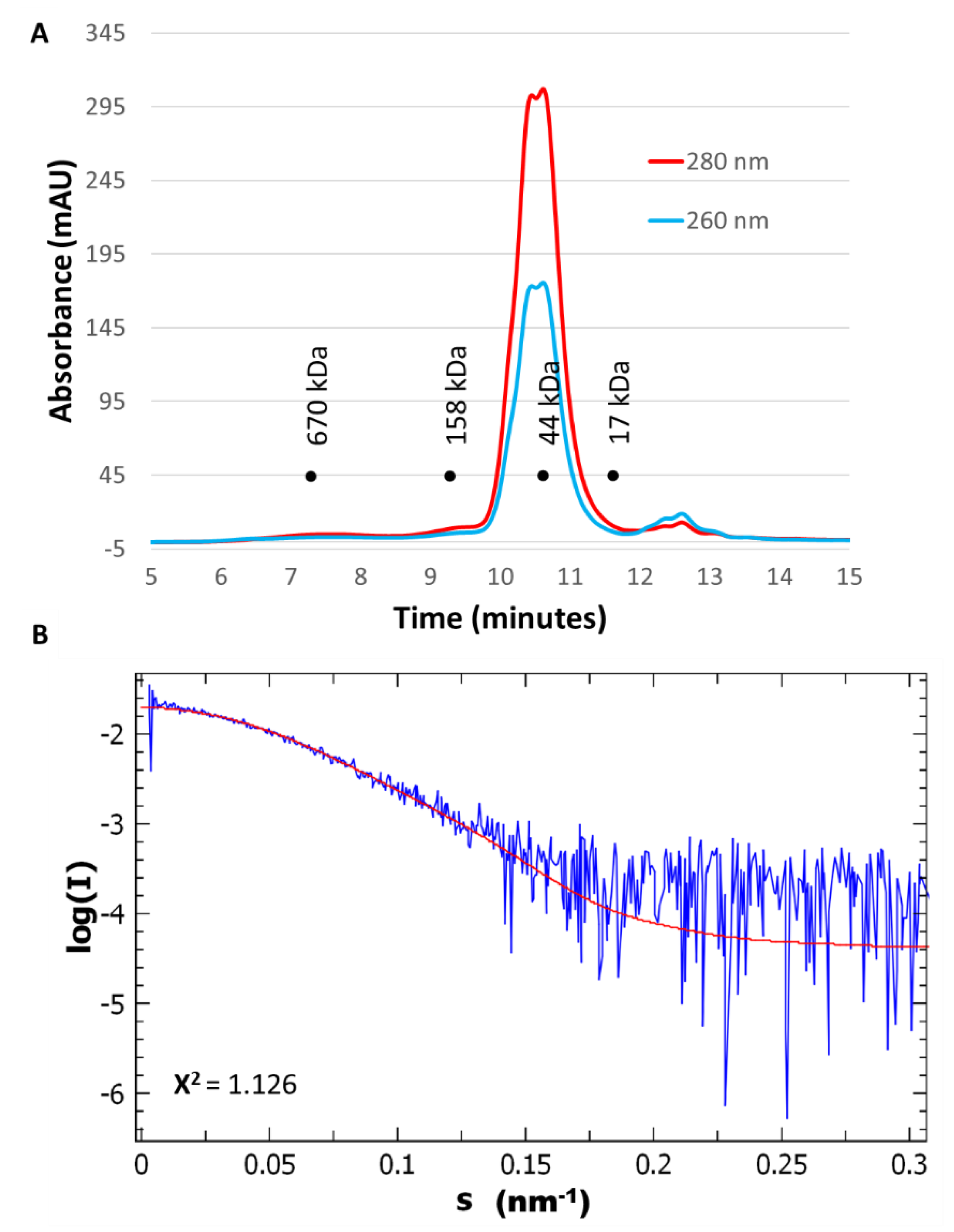 Ijms 21 07787 g002 Ijms 21 07787 g002
