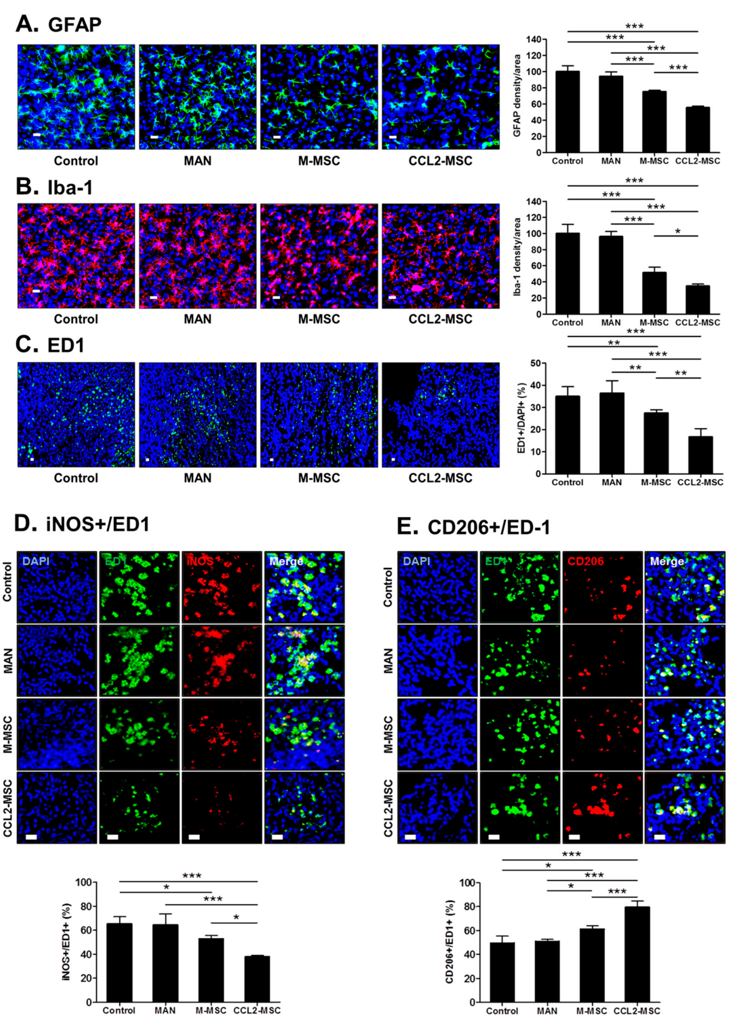 Ijms 21 07795 g007 Ijms 21 07795 g007