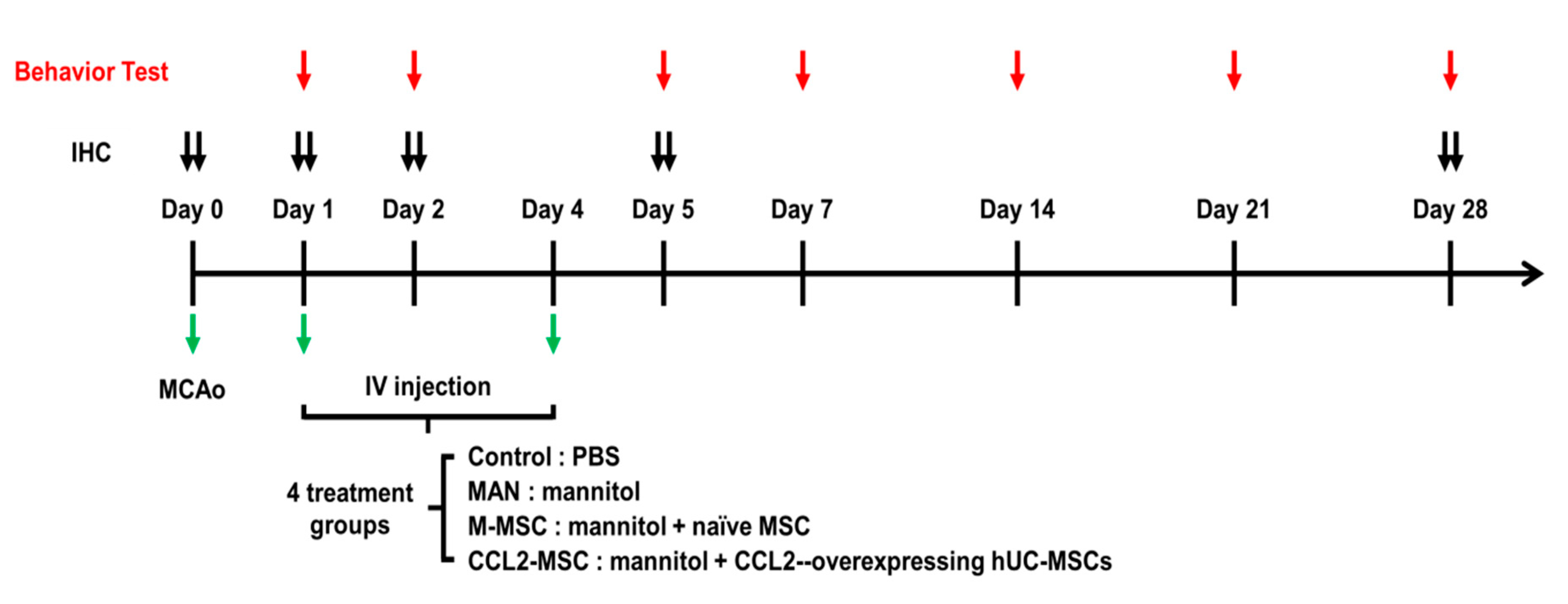 Ijms 21 07795 g008 Ijms 21 07795 g008