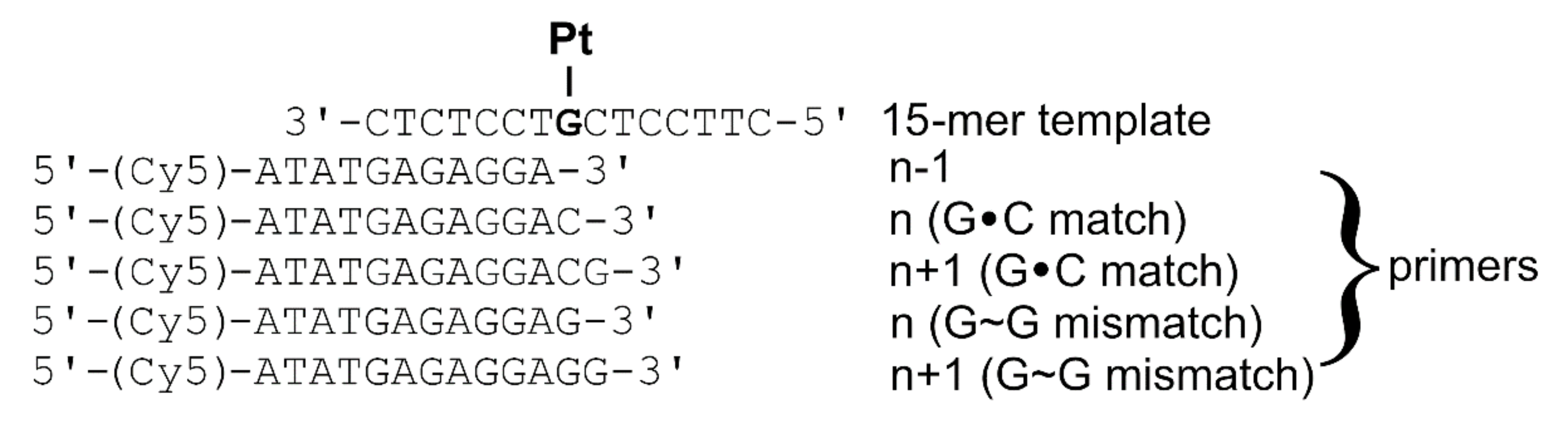 Ijms 21 07806 g004 Ijms 21 07806 g004