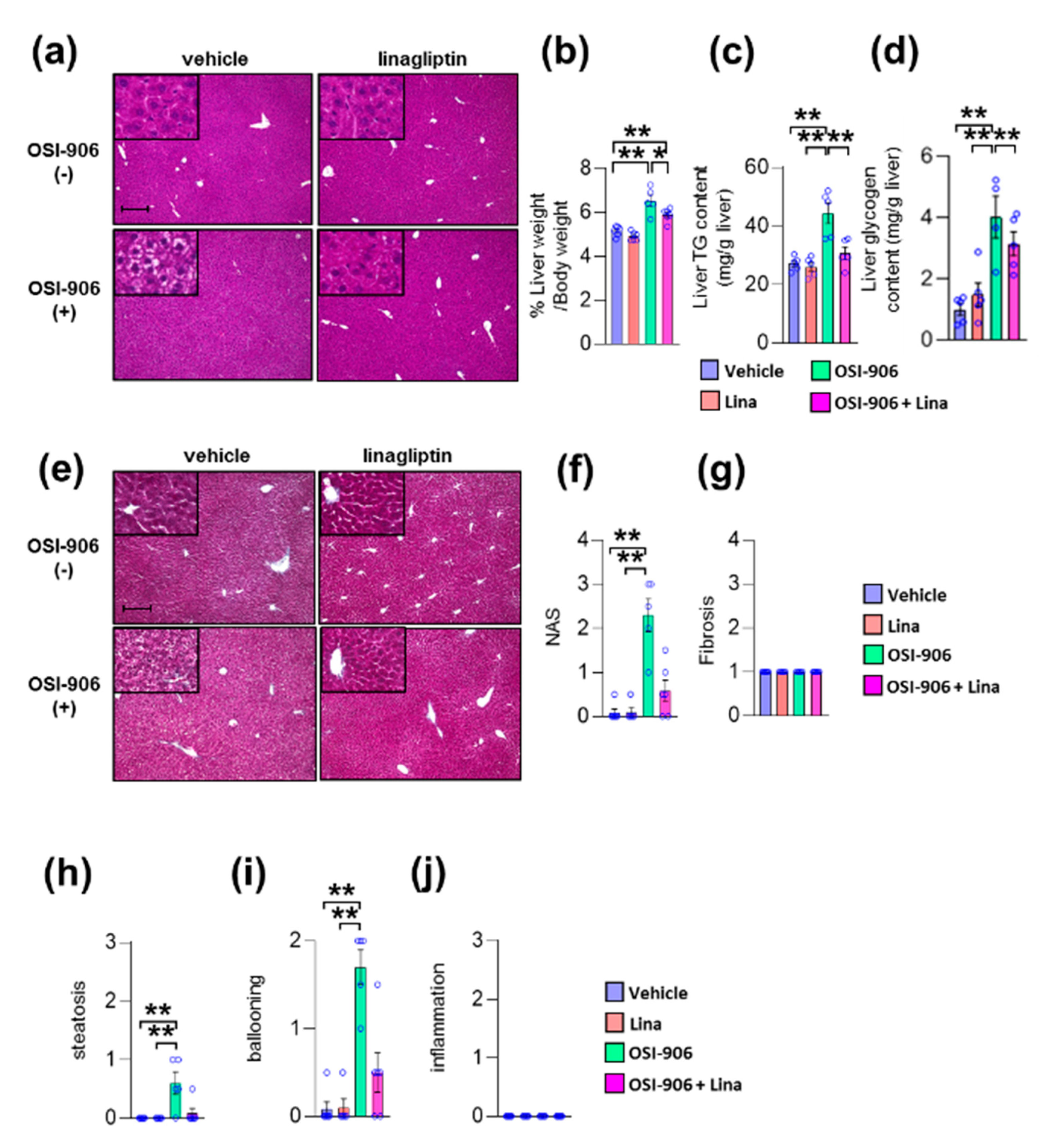 Ijms 21 07815 g002 Ijms 21 07815 g002