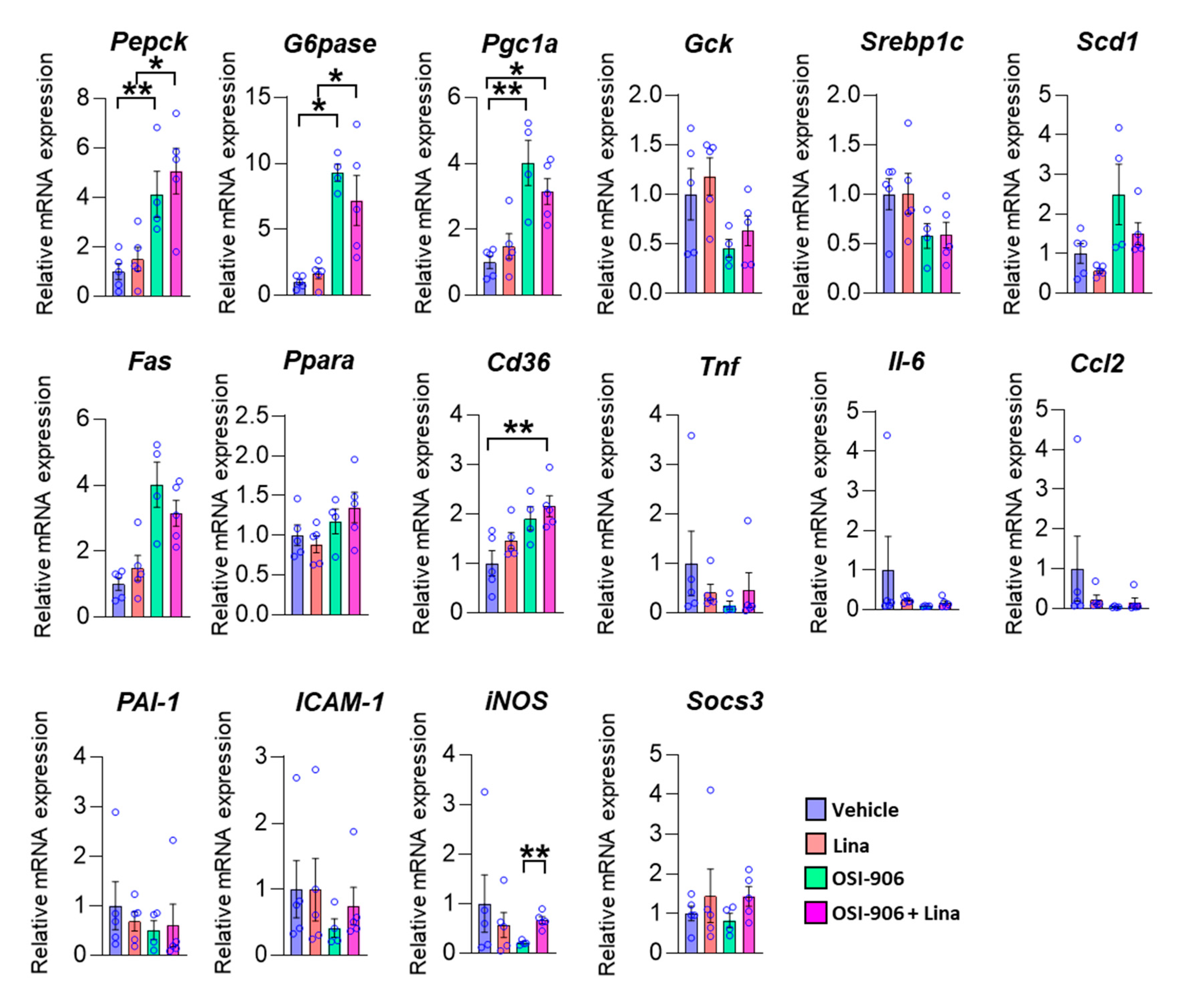 Ijms 21 07815 g003 Ijms 21 07815 g003