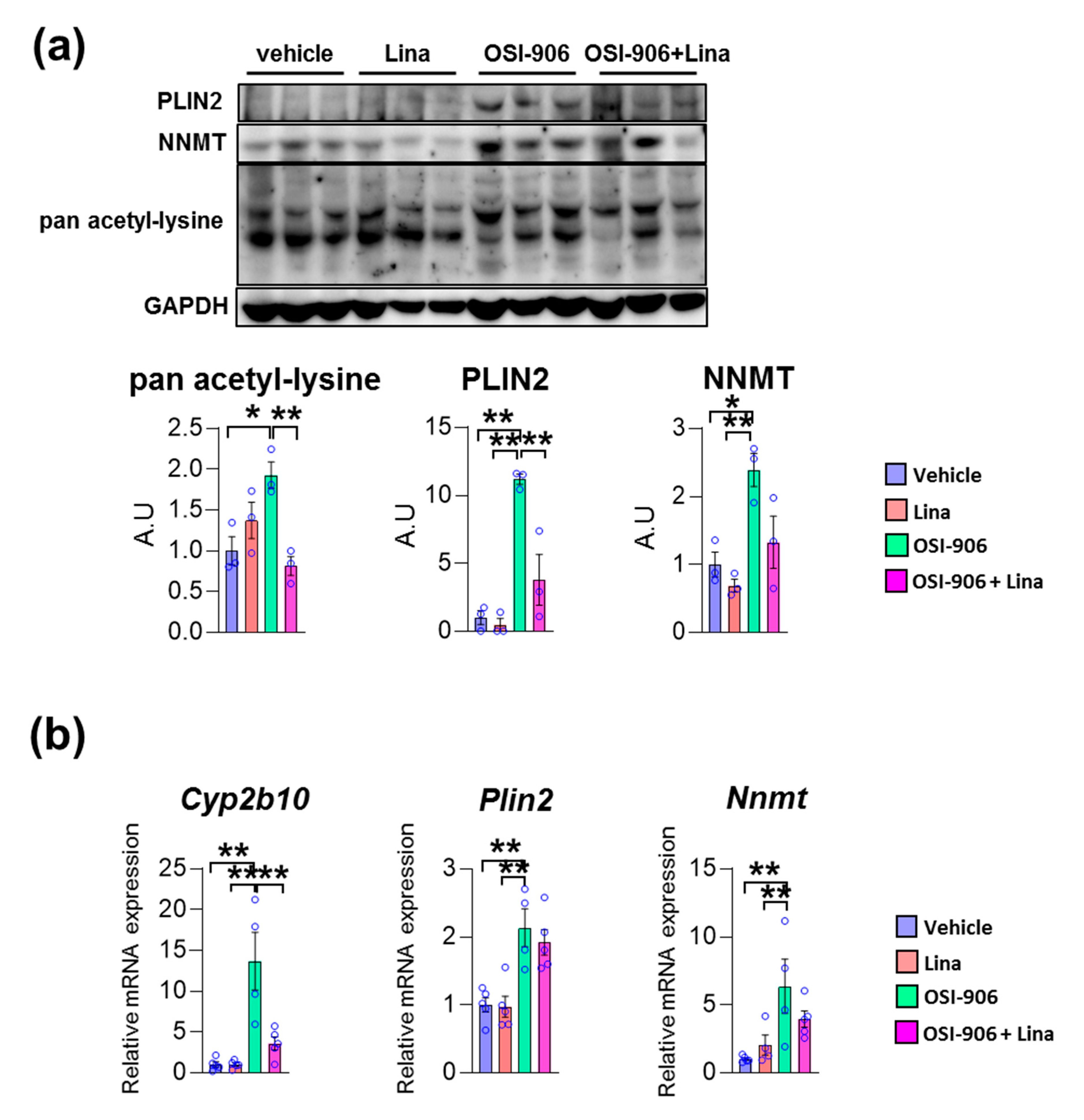 Ijms 21 07815 g005 Ijms 21 07815 g005