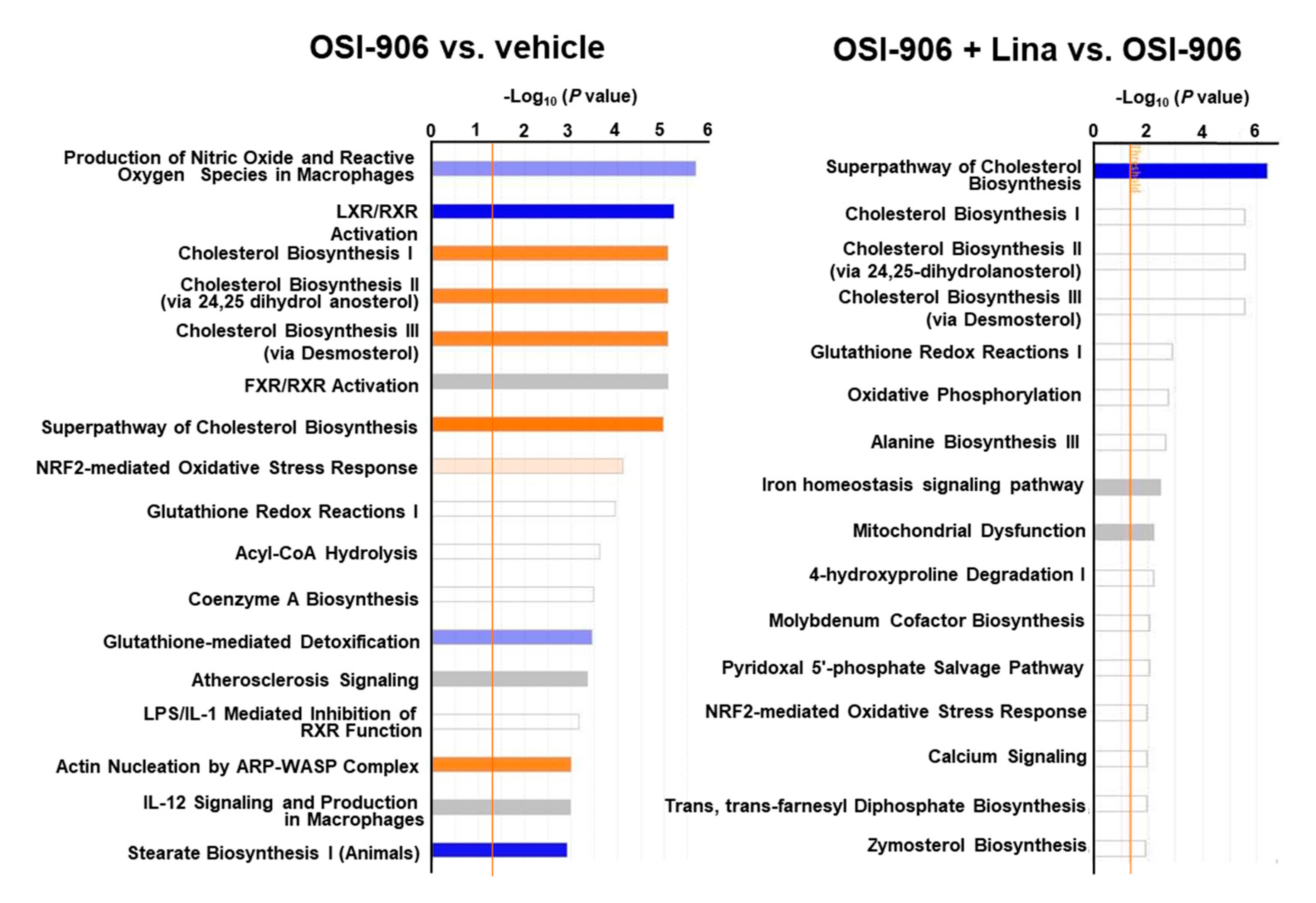 Ijms 21 07815 g006 Ijms 21 07815 g006