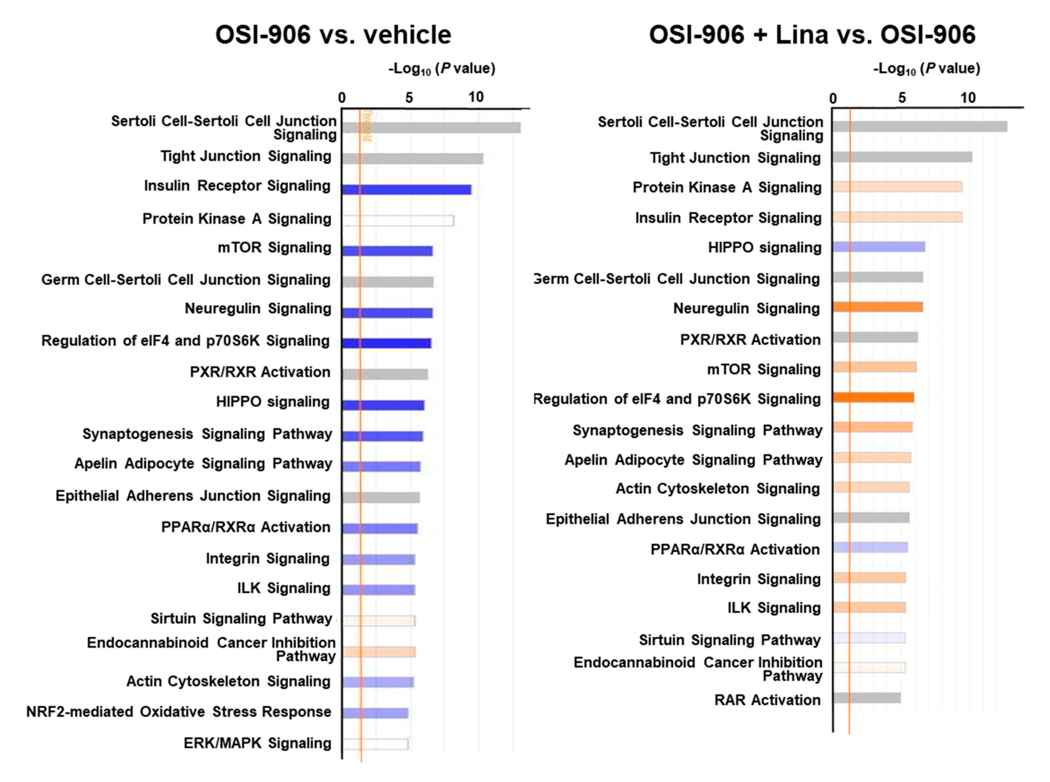 Ijms 21 07815 g007 Ijms 21 07815 g007