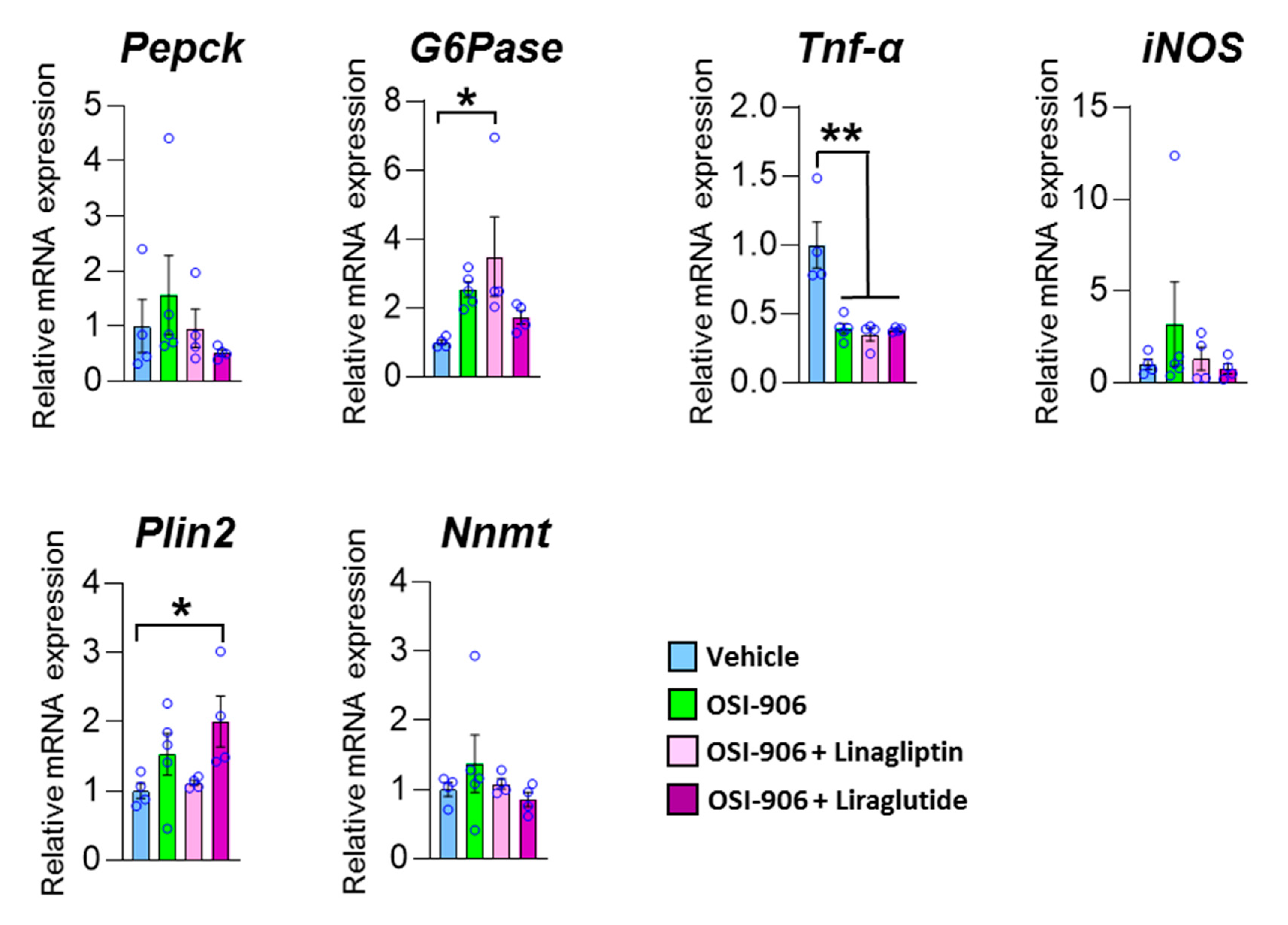 Ijms 21 07815 g008 Ijms 21 07815 g008