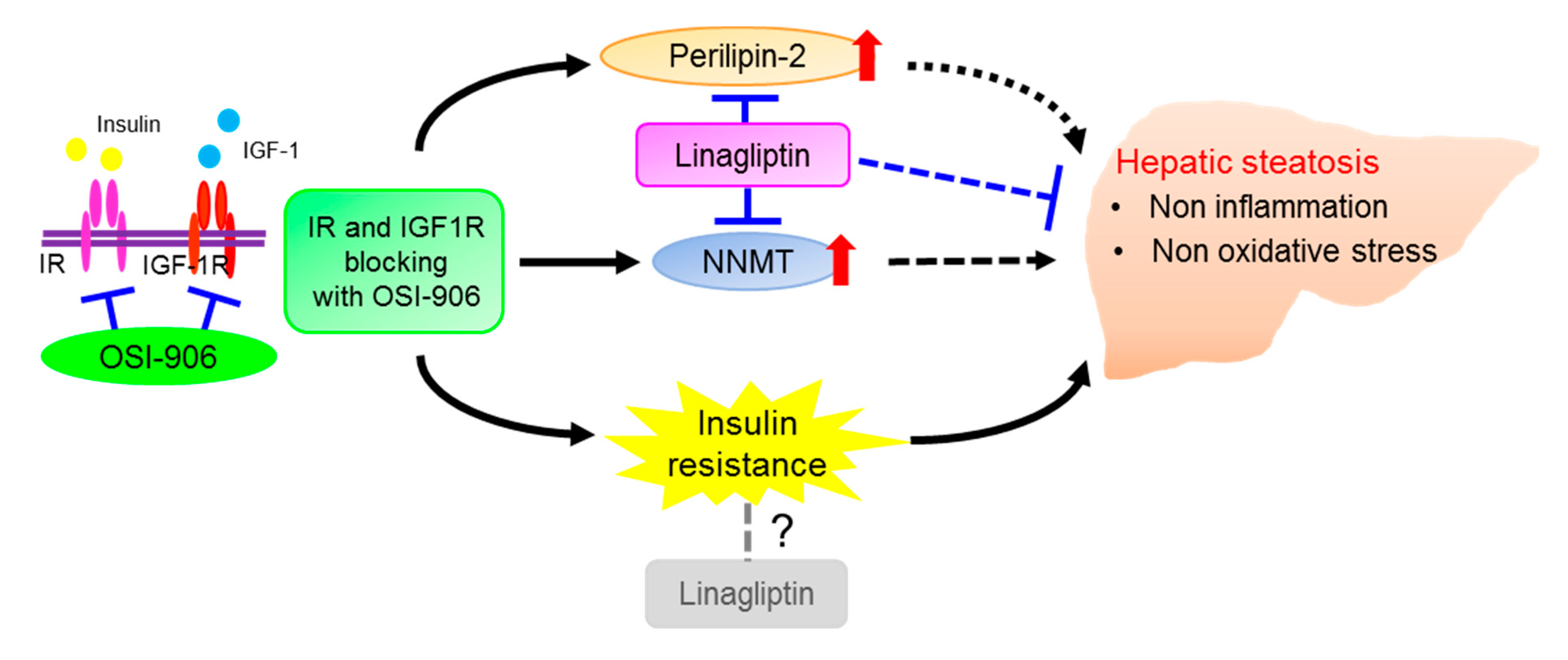 Ijms 21 07815 g009 Ijms 21 07815 g009