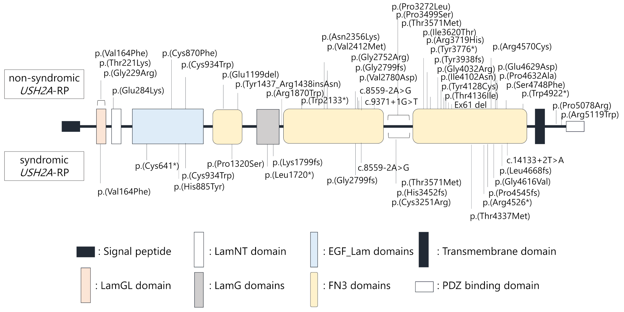 Ijms 21 07817 g003 Ijms 21 07817 g003