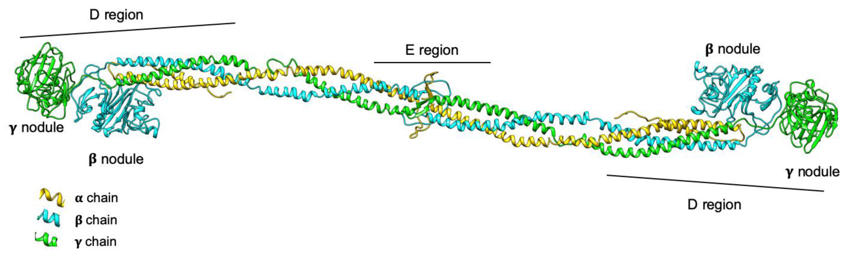 Ijms 21 07830 g001 Ijms 21 07830 g001