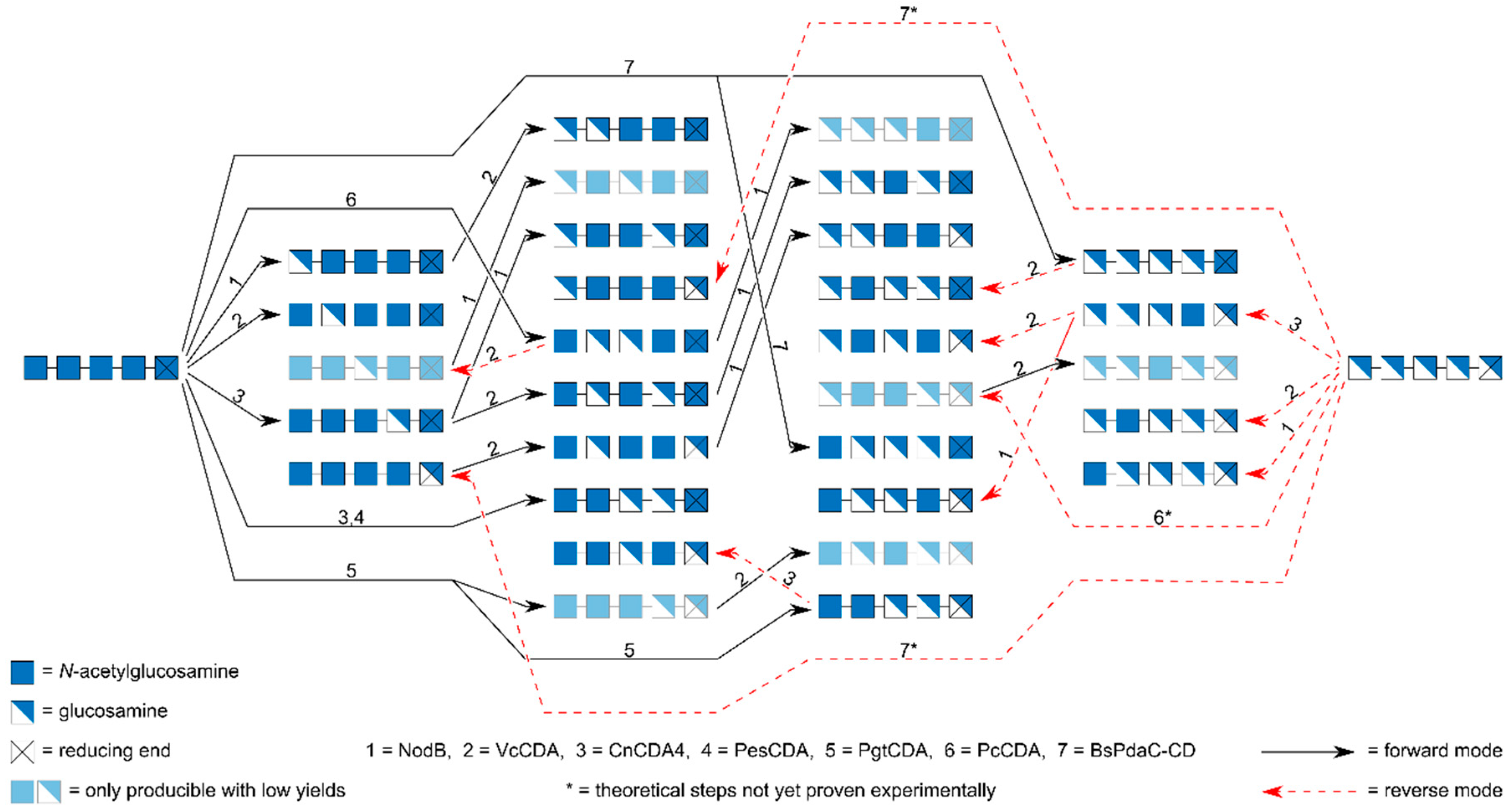 Ijms 21 07835 g008 Ijms 21 07835 g008