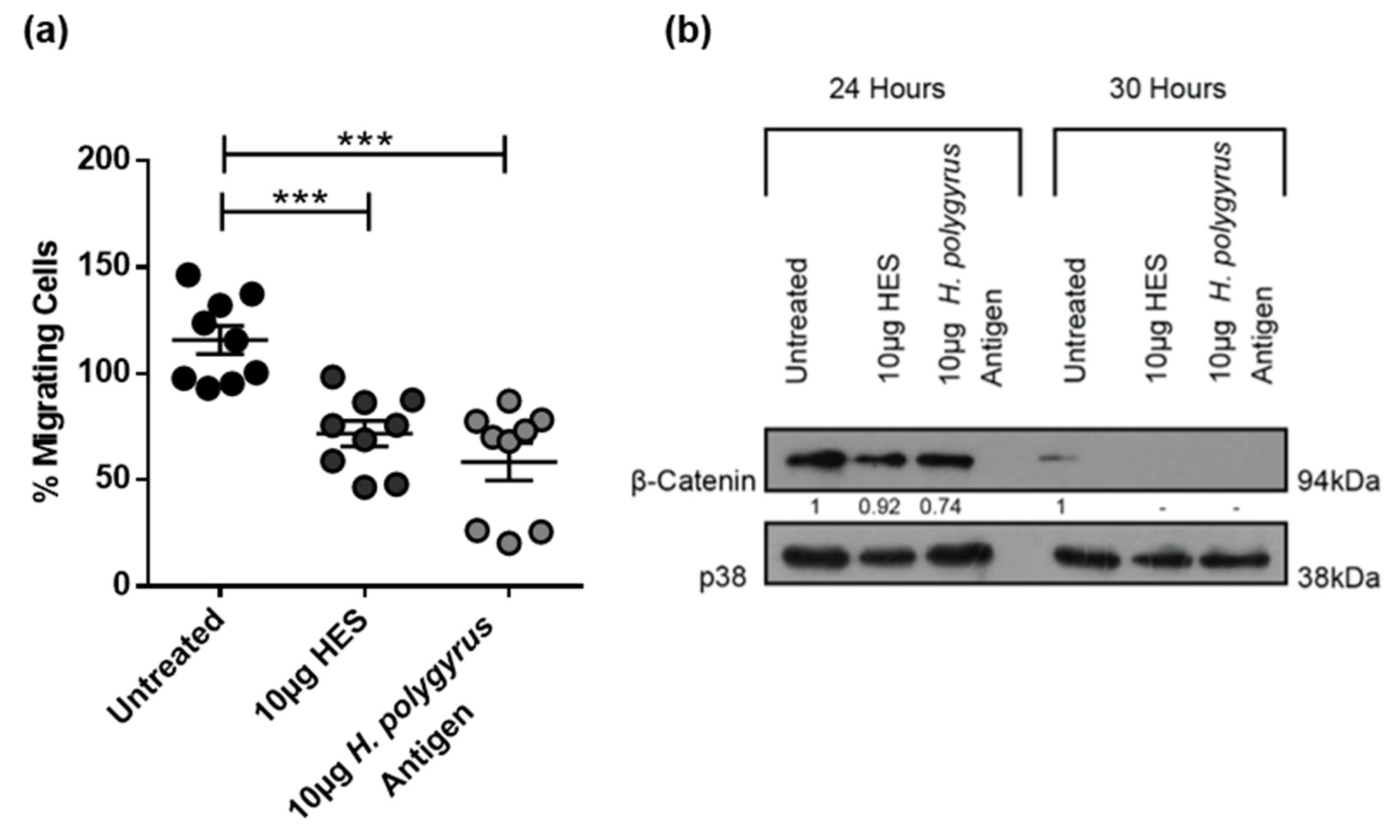 Ijms 21 07845 g005 Ijms 21 07845 g005