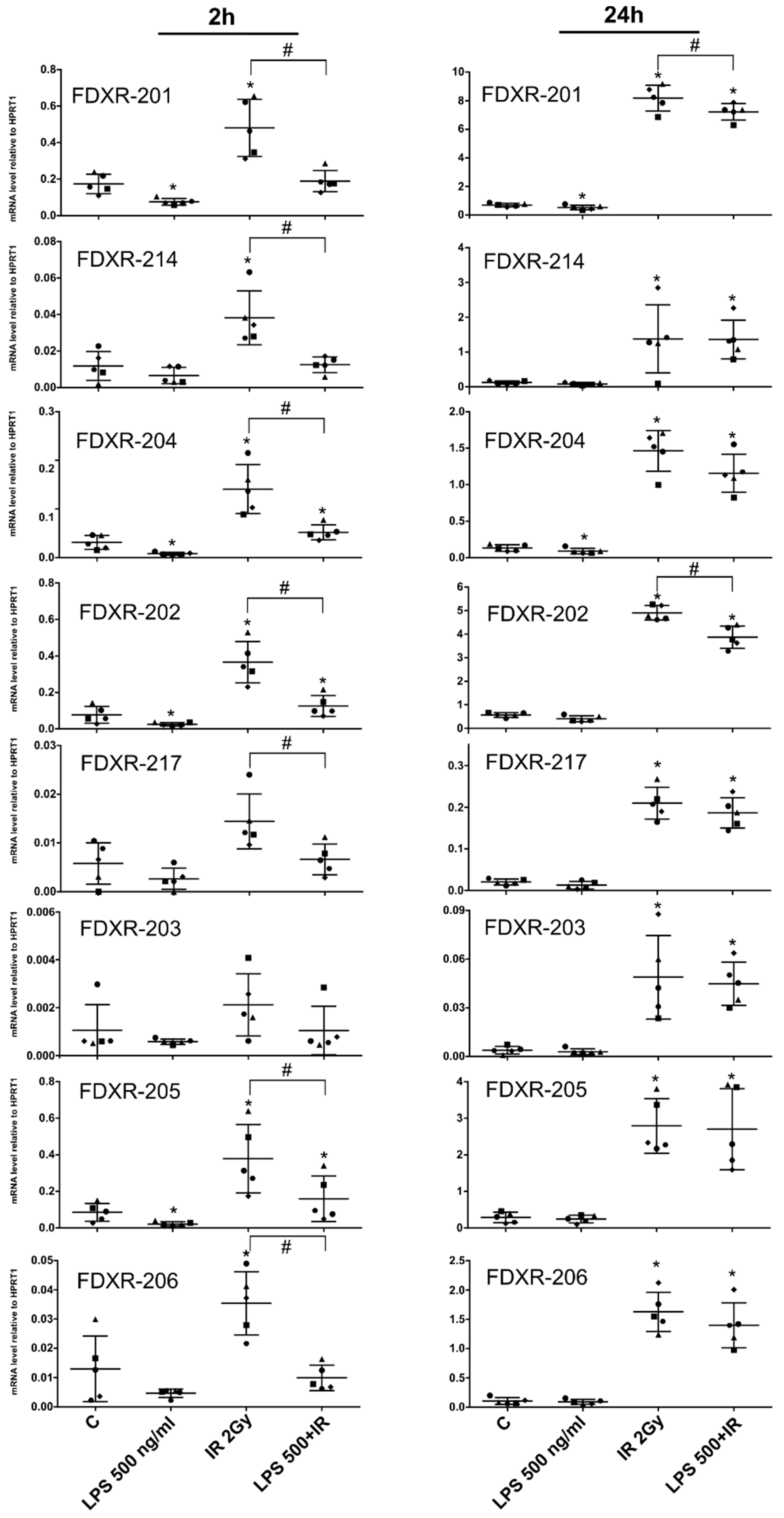 Ijms 21 07851 g003 Ijms 21 07851 g003