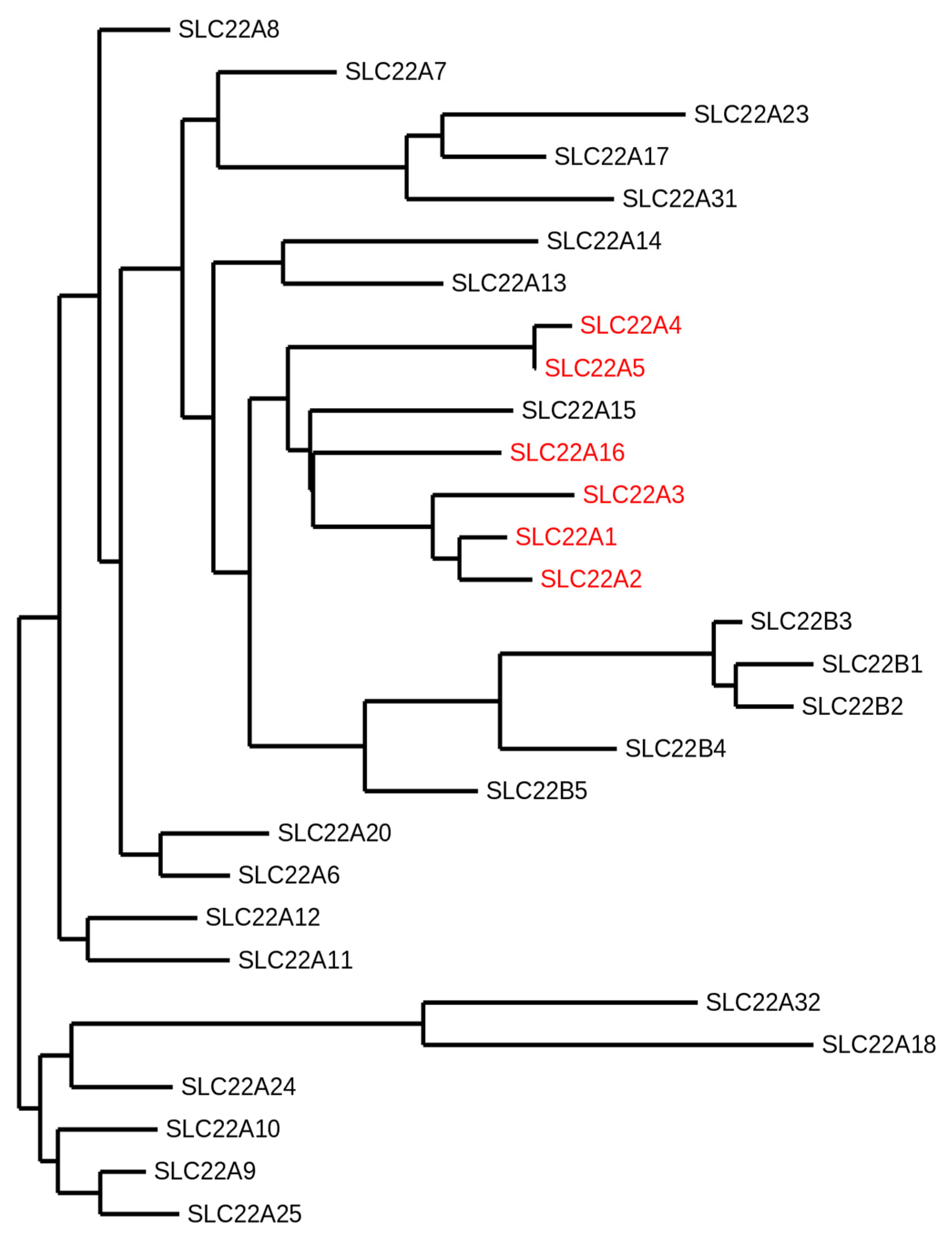 Ijms 21 07890 g001 Ijms 21 07890 g001