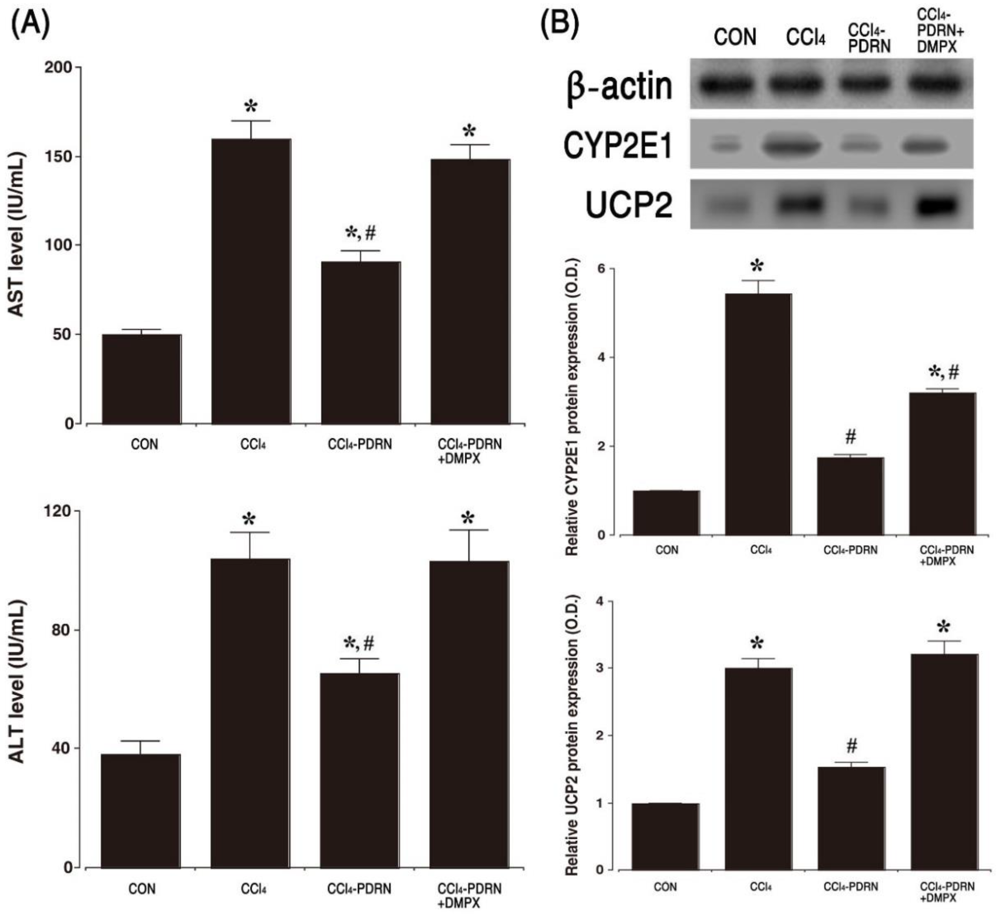 Ijms 21 07894 g001 Ijms 21 07894 g001