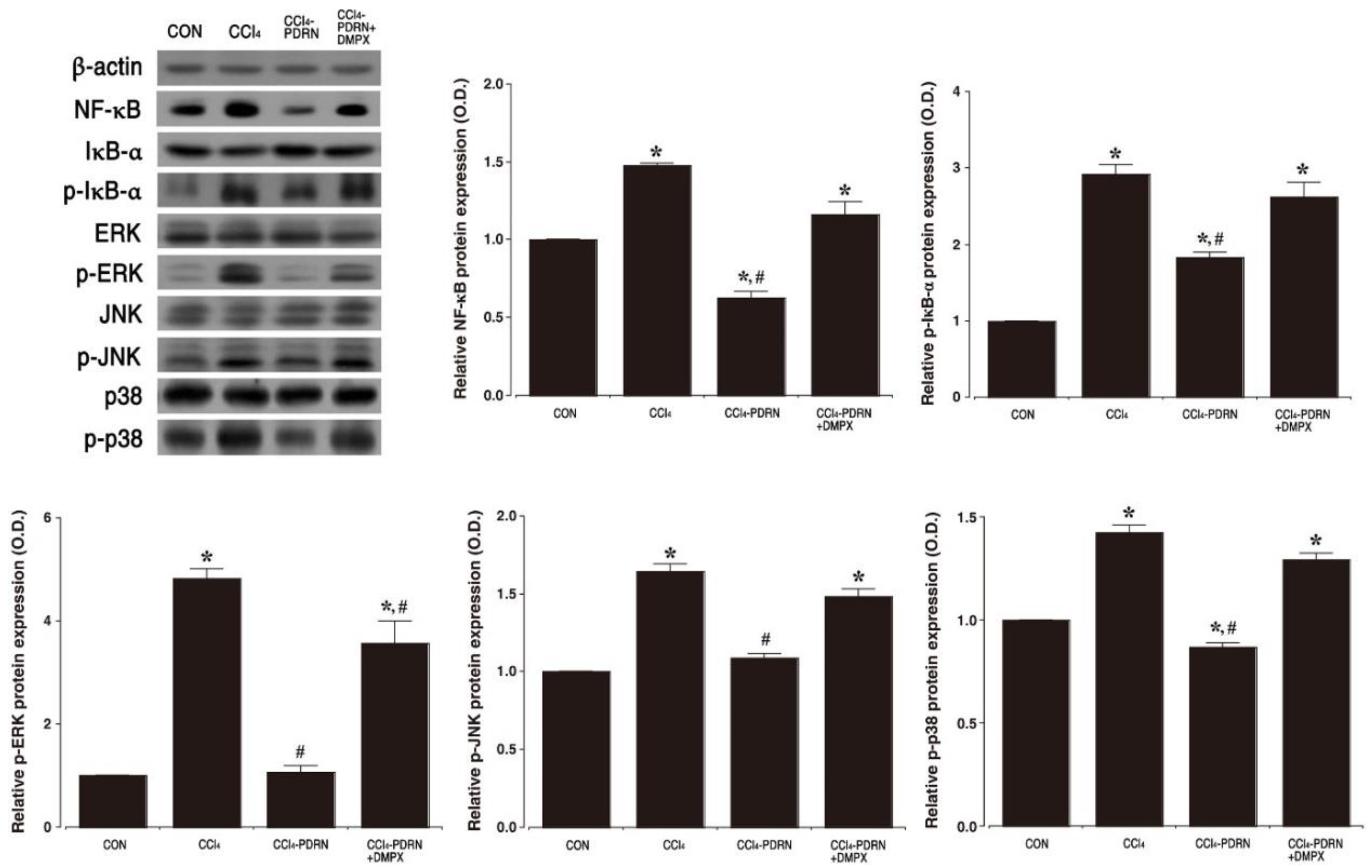 Ijms 21 07894 g004 Ijms 21 07894 g004