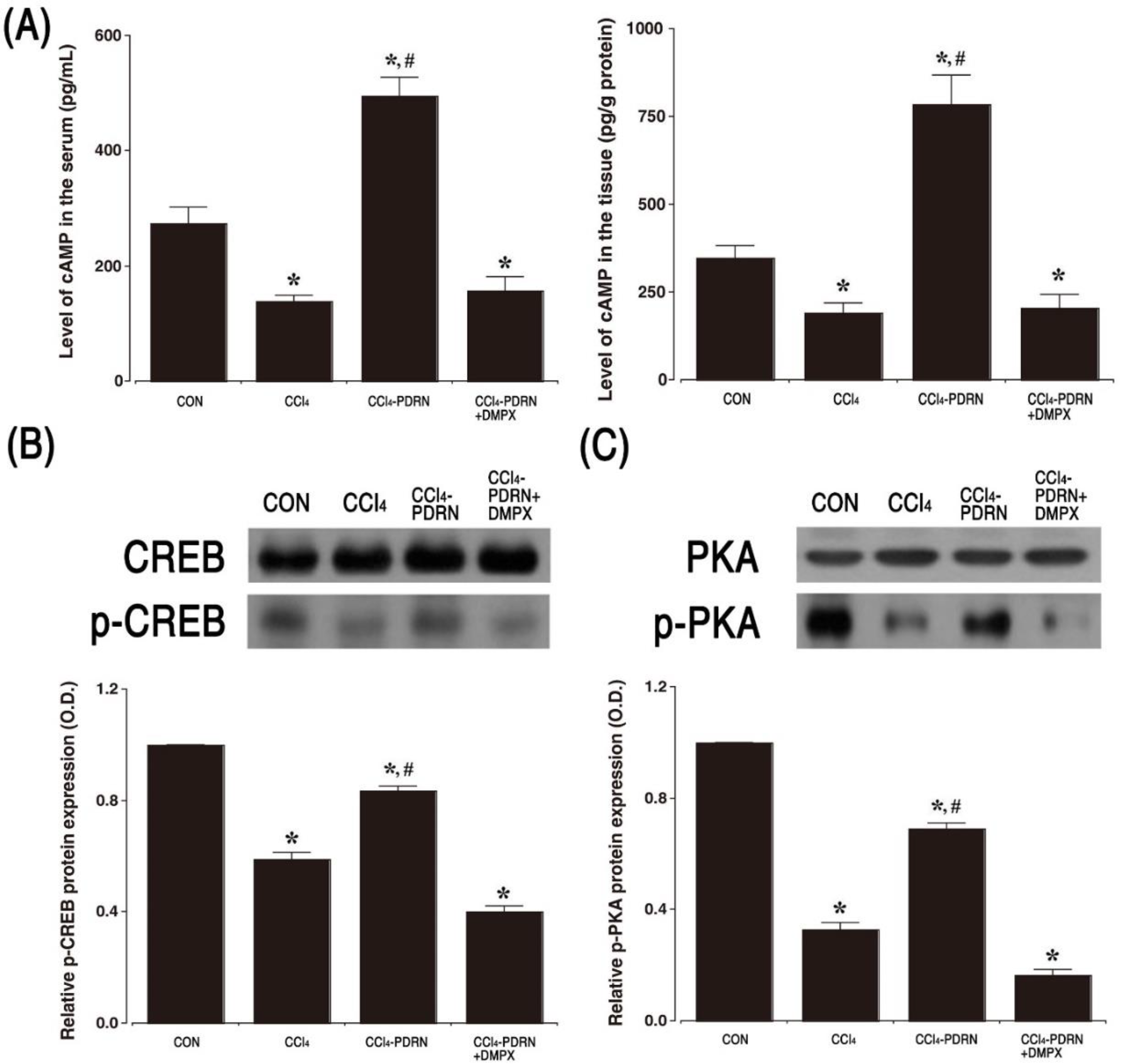 Ijms 21 07894 g005 Ijms 21 07894 g005