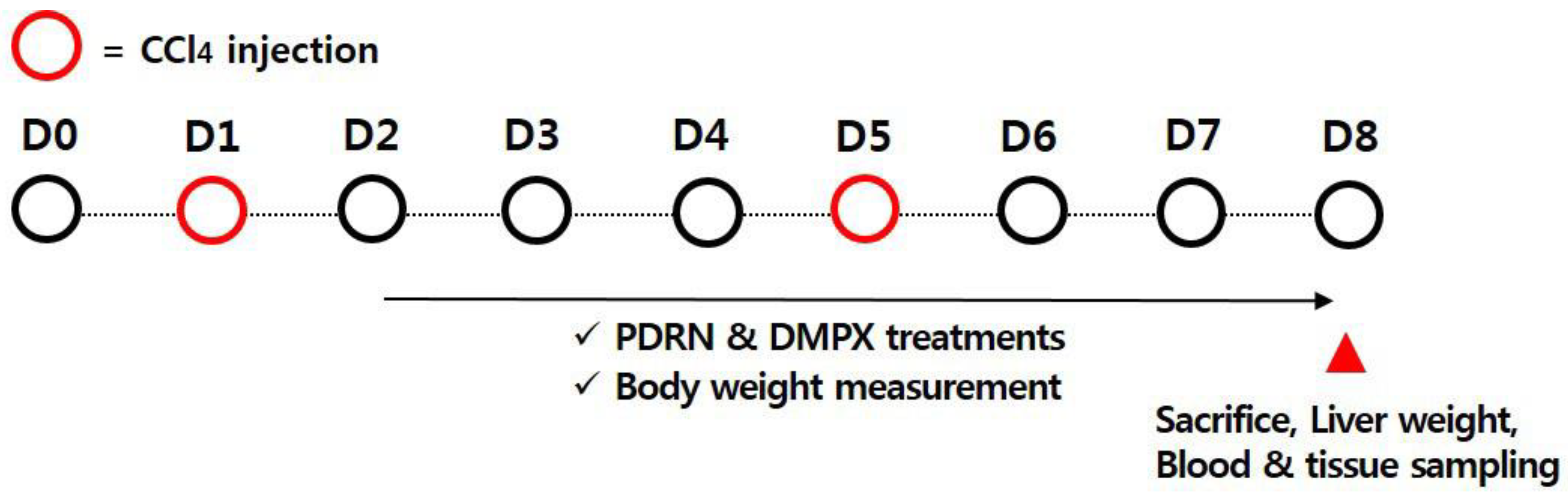 Ijms 21 07894 g007 Ijms 21 07894 g007