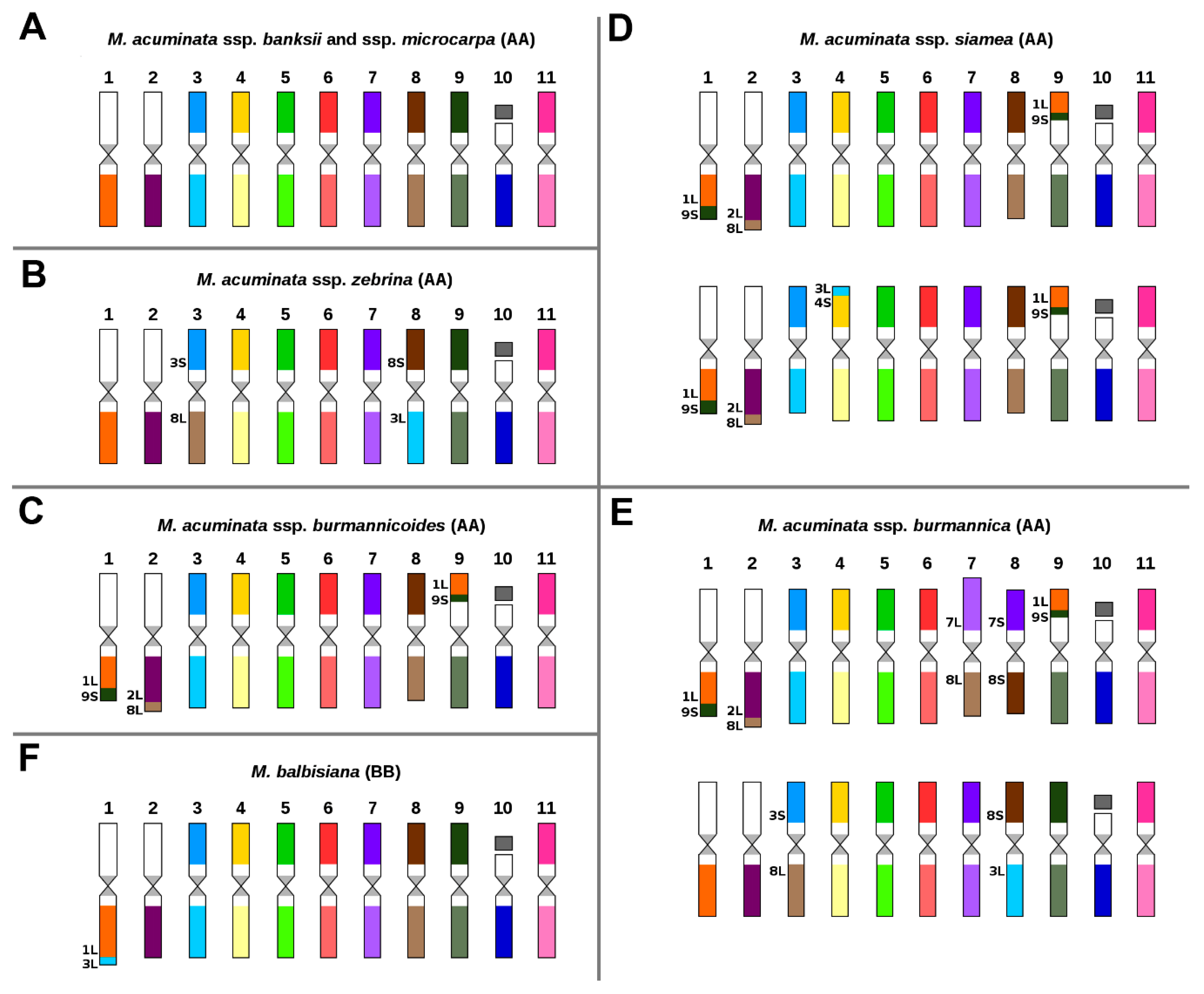 Ijms 21 07915 g001 Ijms 21 07915 g001