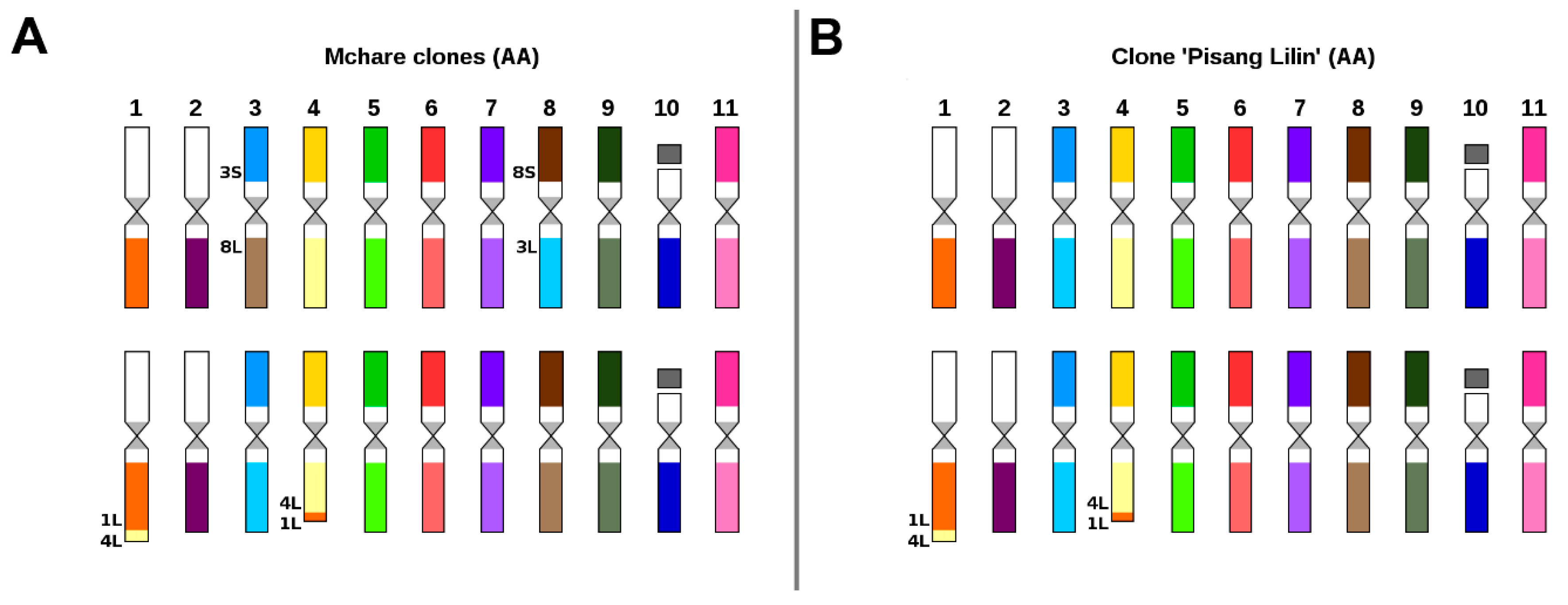 Ijms 21 07915 g002 Ijms 21 07915 g002