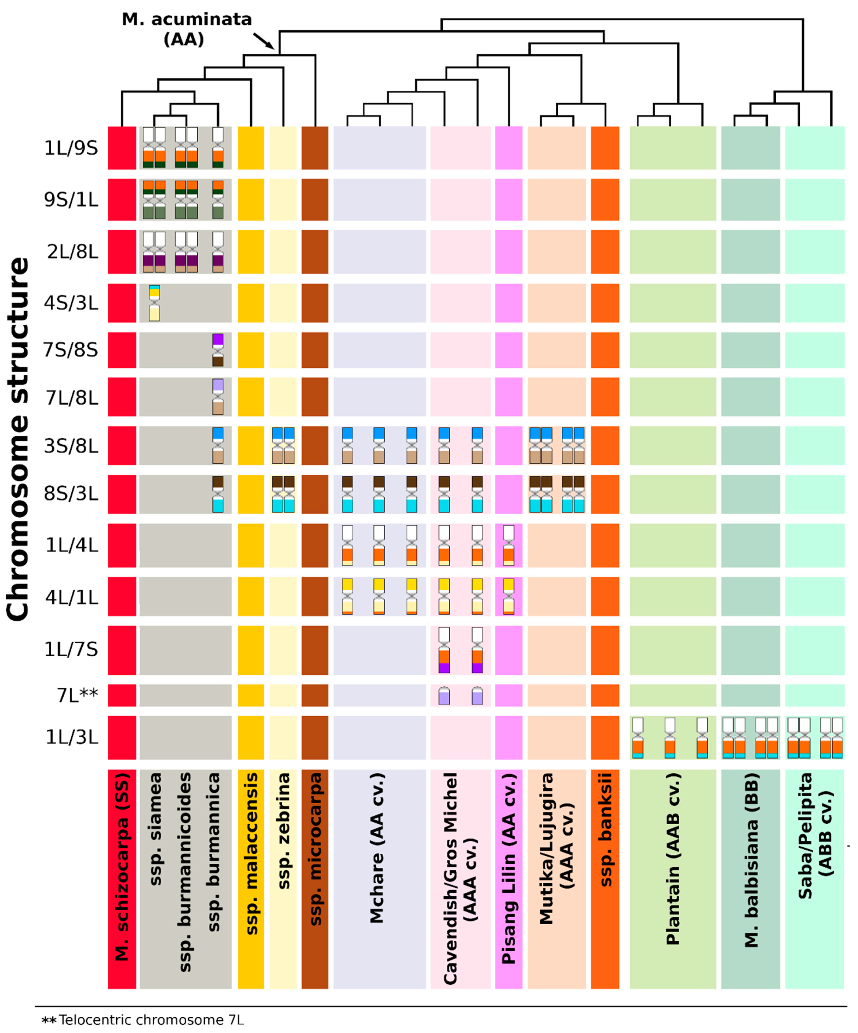 Ijms 21 07915 g004 Ijms 21 07915 g004