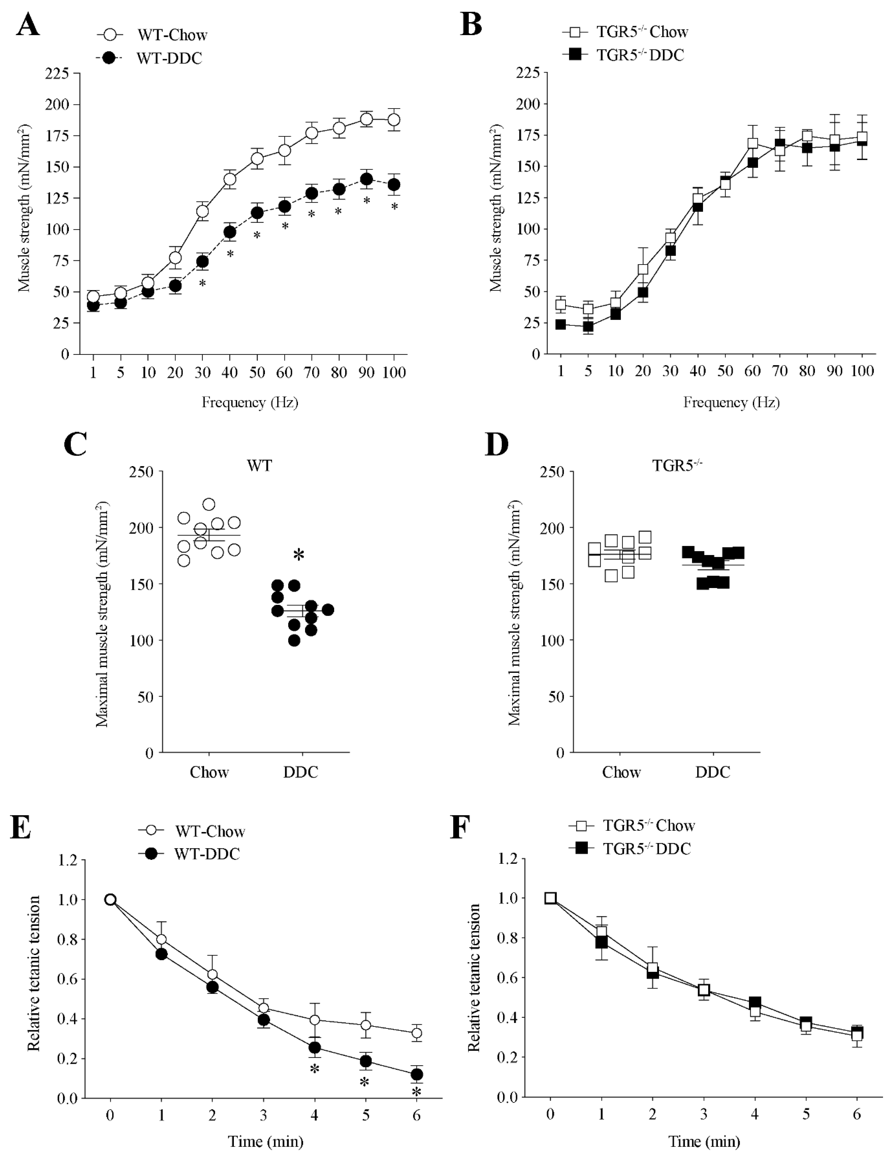 Ijms 21 07922 g003 Ijms 21 07922 g003