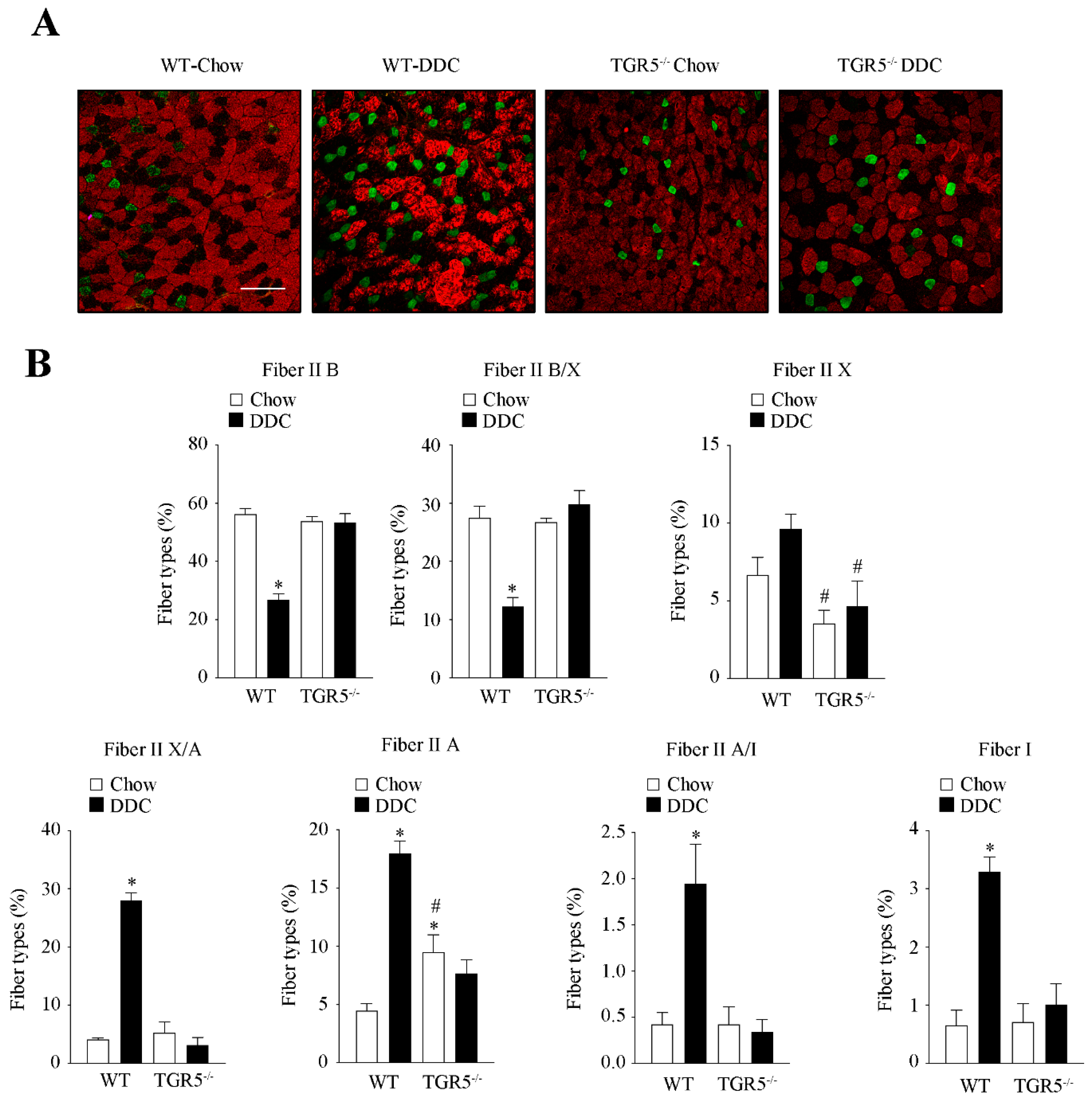 Ijms 21 07922 g004 Ijms 21 07922 g004