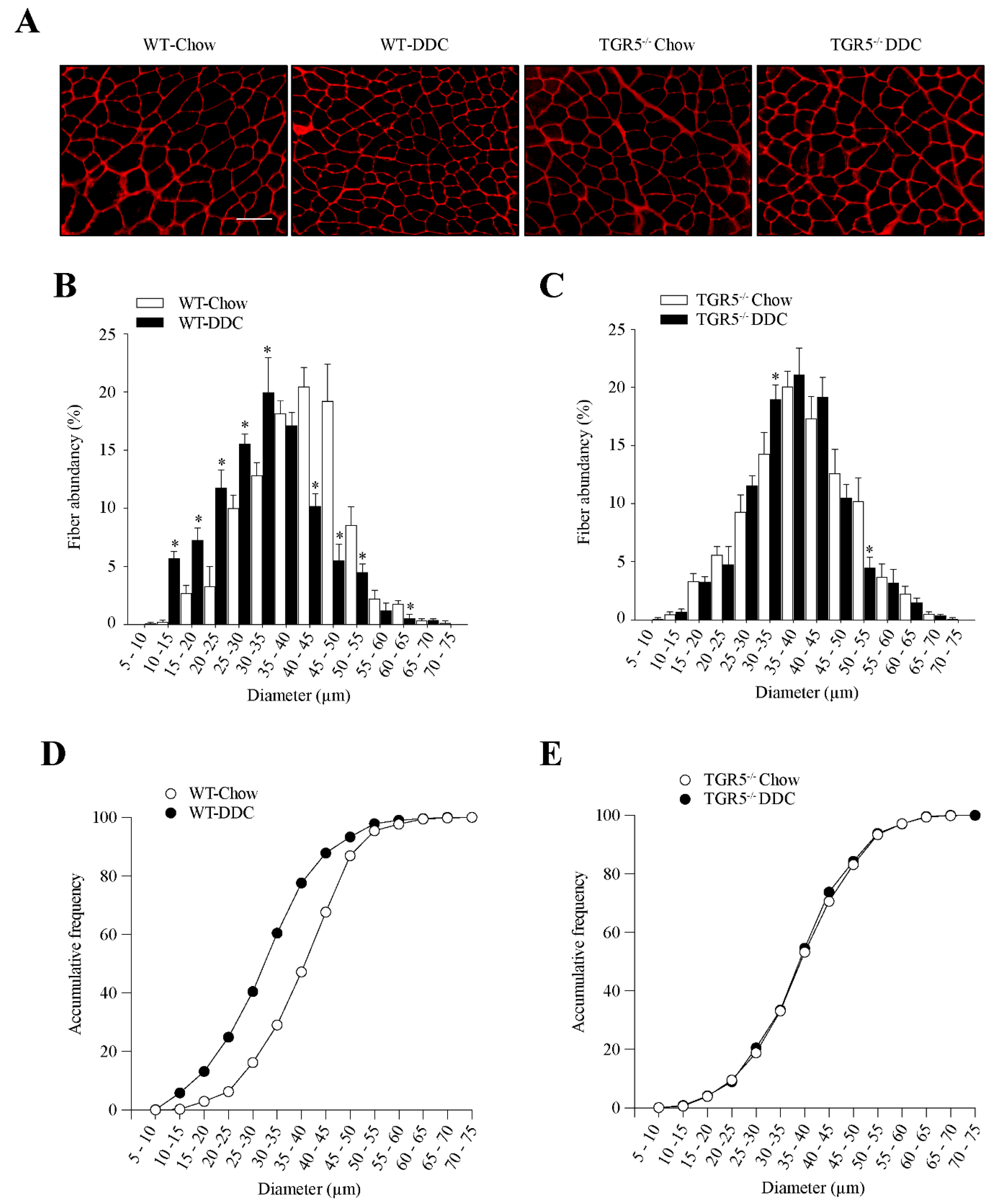 Ijms 21 07922 g005 Ijms 21 07922 g005