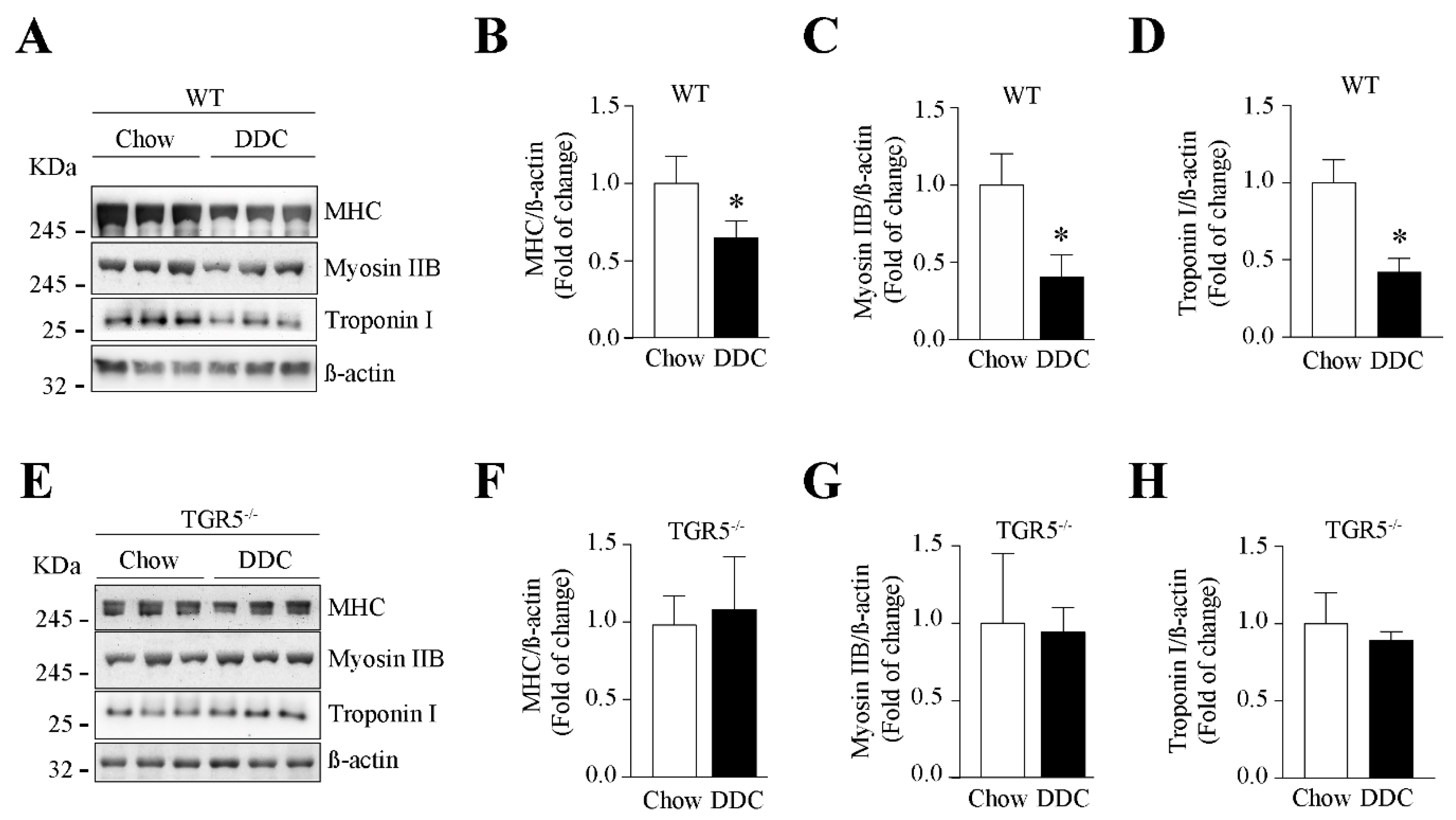 Ijms 21 07922 g006 Ijms 21 07922 g006